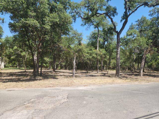 Granite Shoals, TX 78654,TBD Sherwood Forest DR