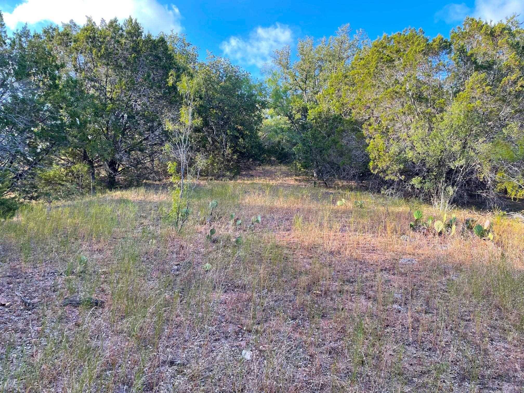 Spicewood, TX 78669-0000,TBD CR 404 DR