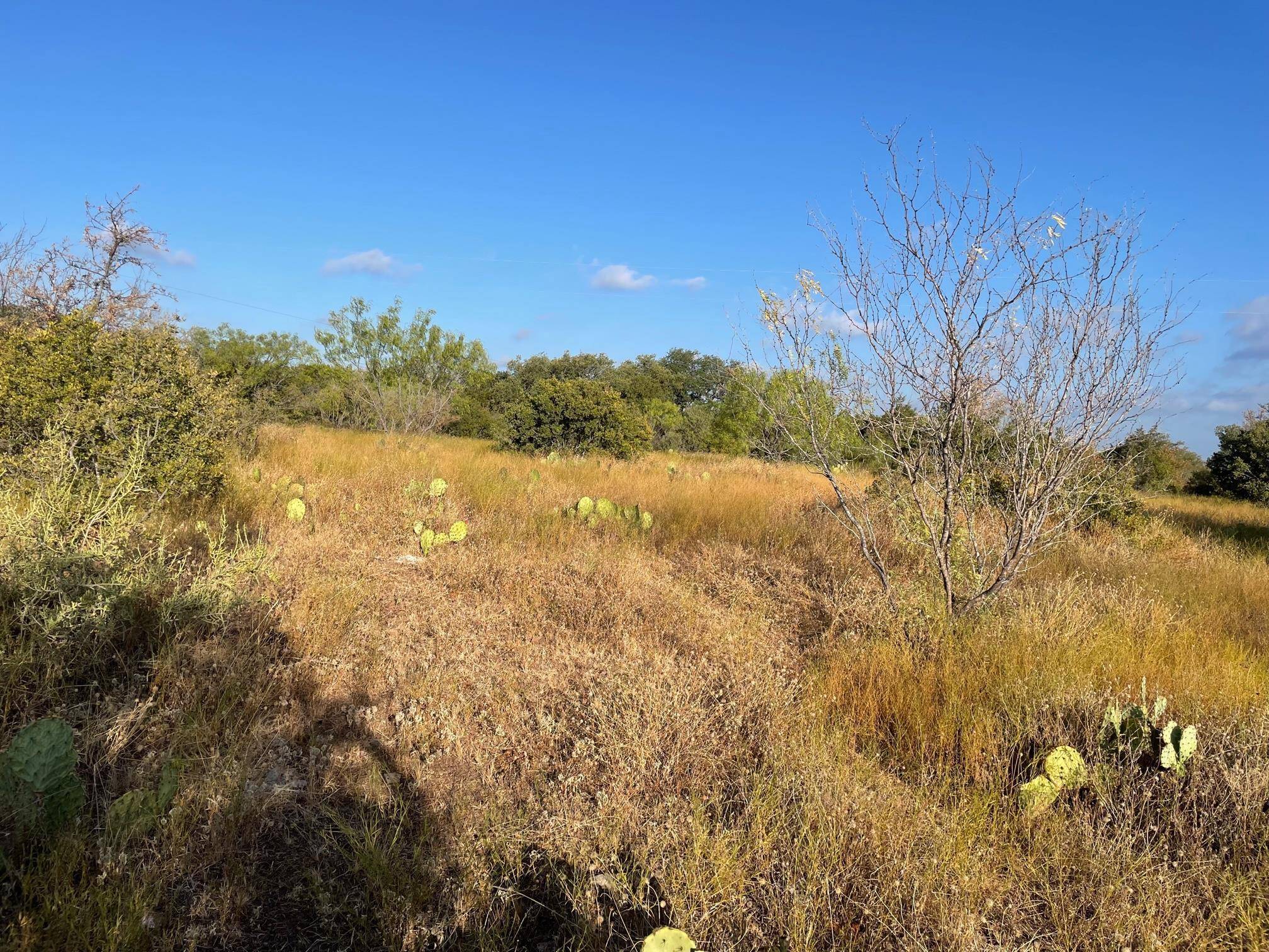 Spicewood, TX 78669-0000,TBD CR 404 DR