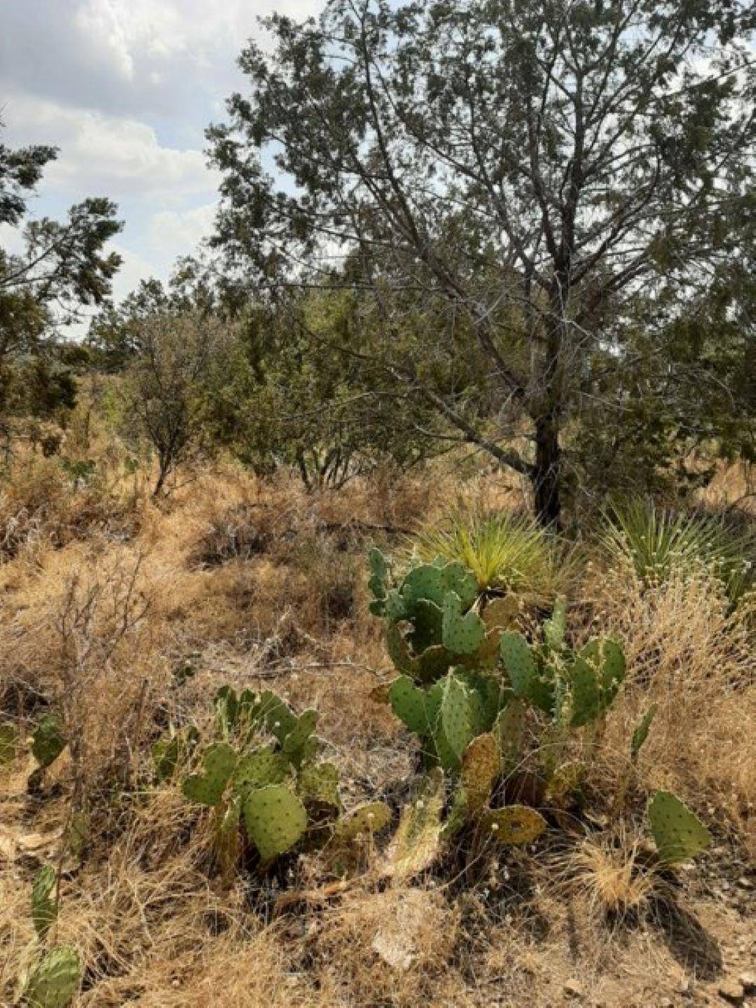 Burnet, TX 78611,Lot 24 & 26 Radium