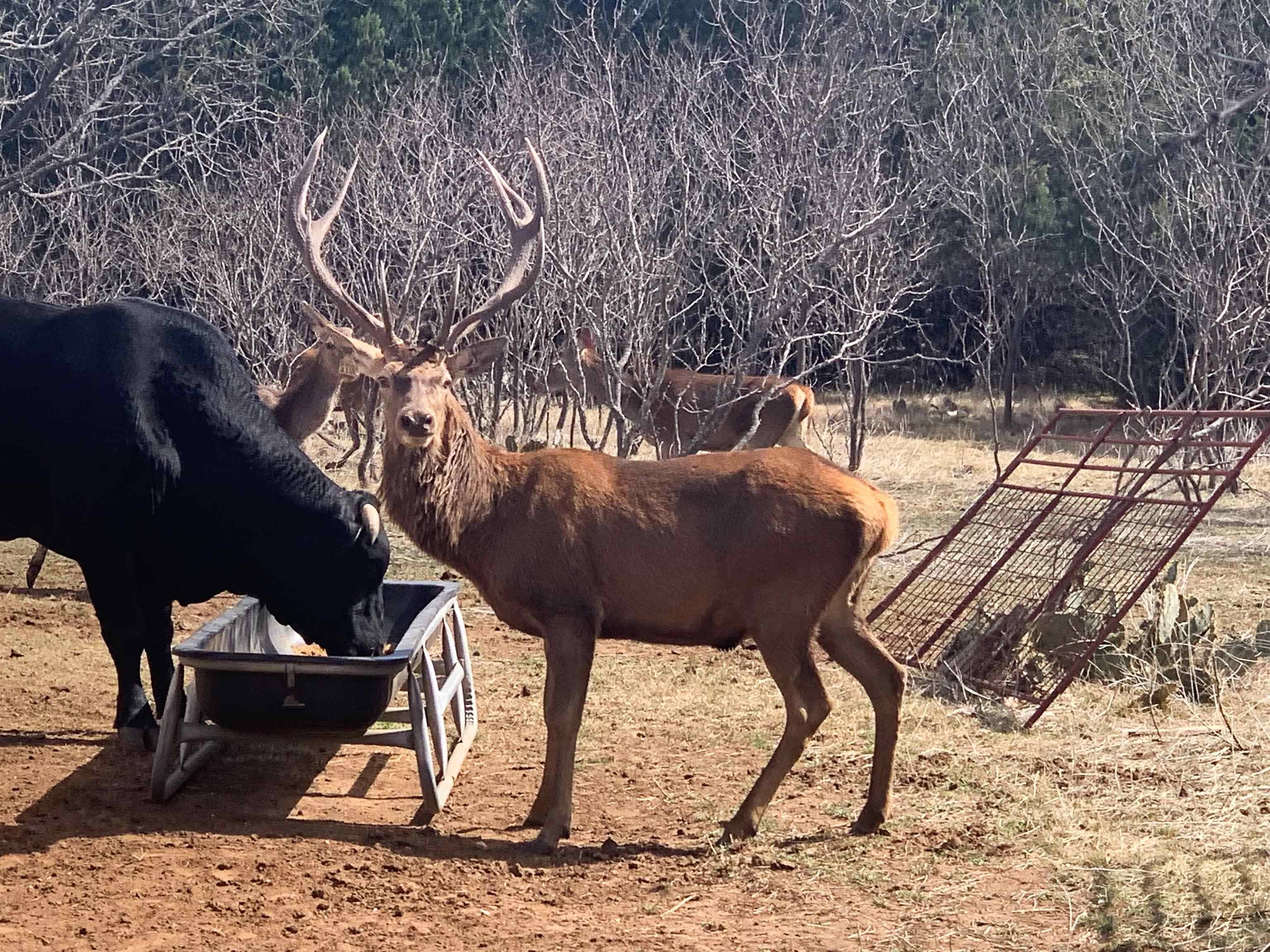 Lampasas, TX 76550,000 South Hwy 281