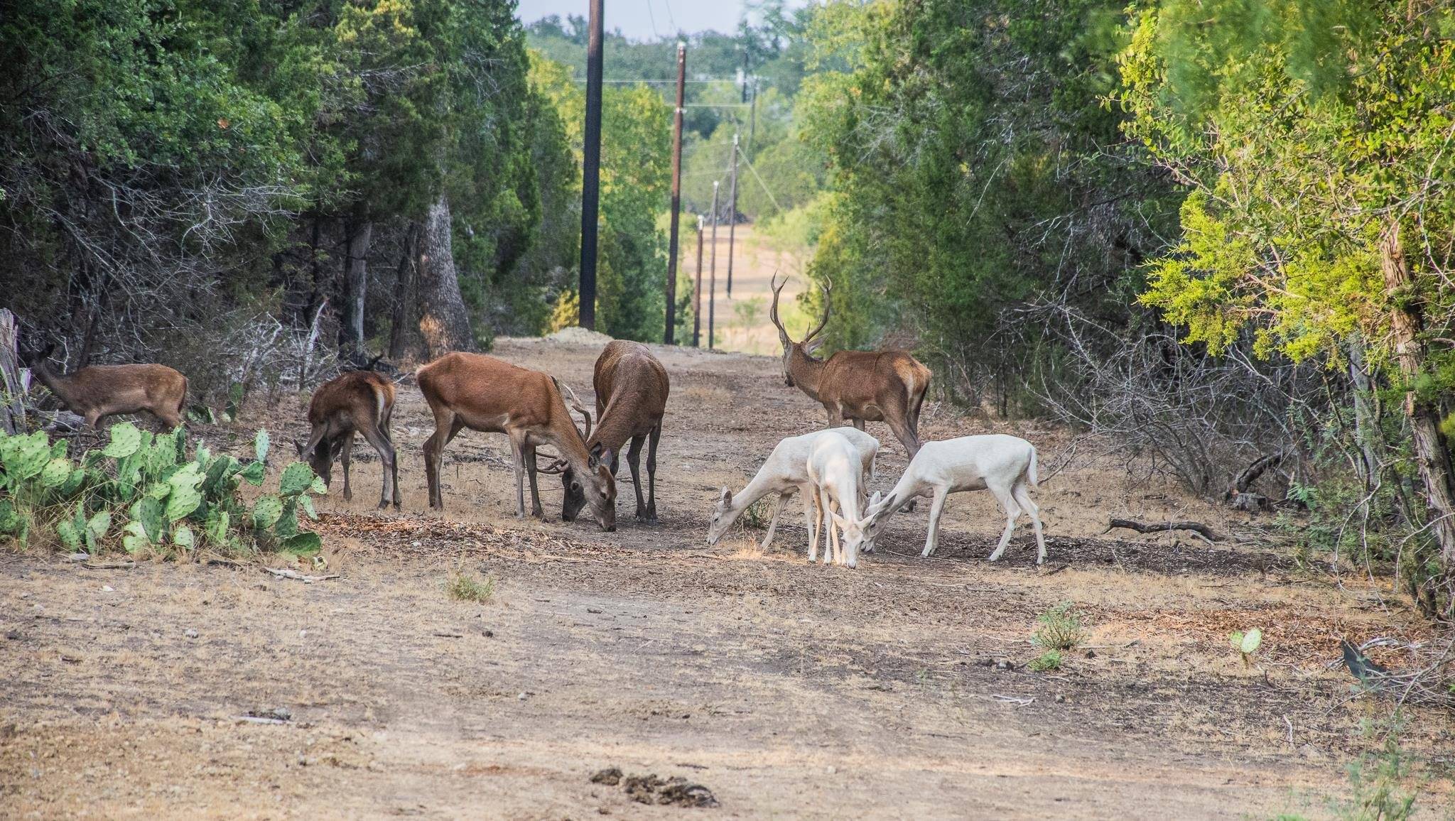 Lampasas, TX 76550,000 South Hwy 281