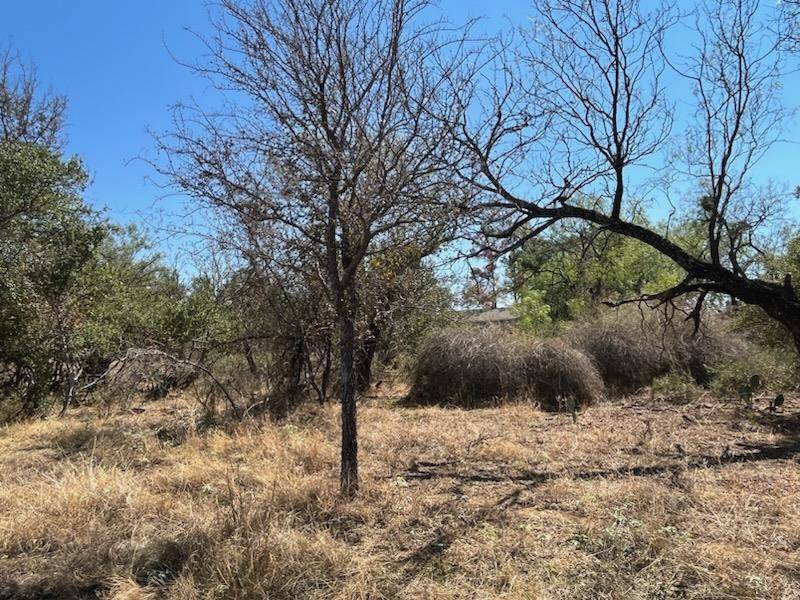 Granite Shoals, TX 78654,Lot 655 Norwood DR