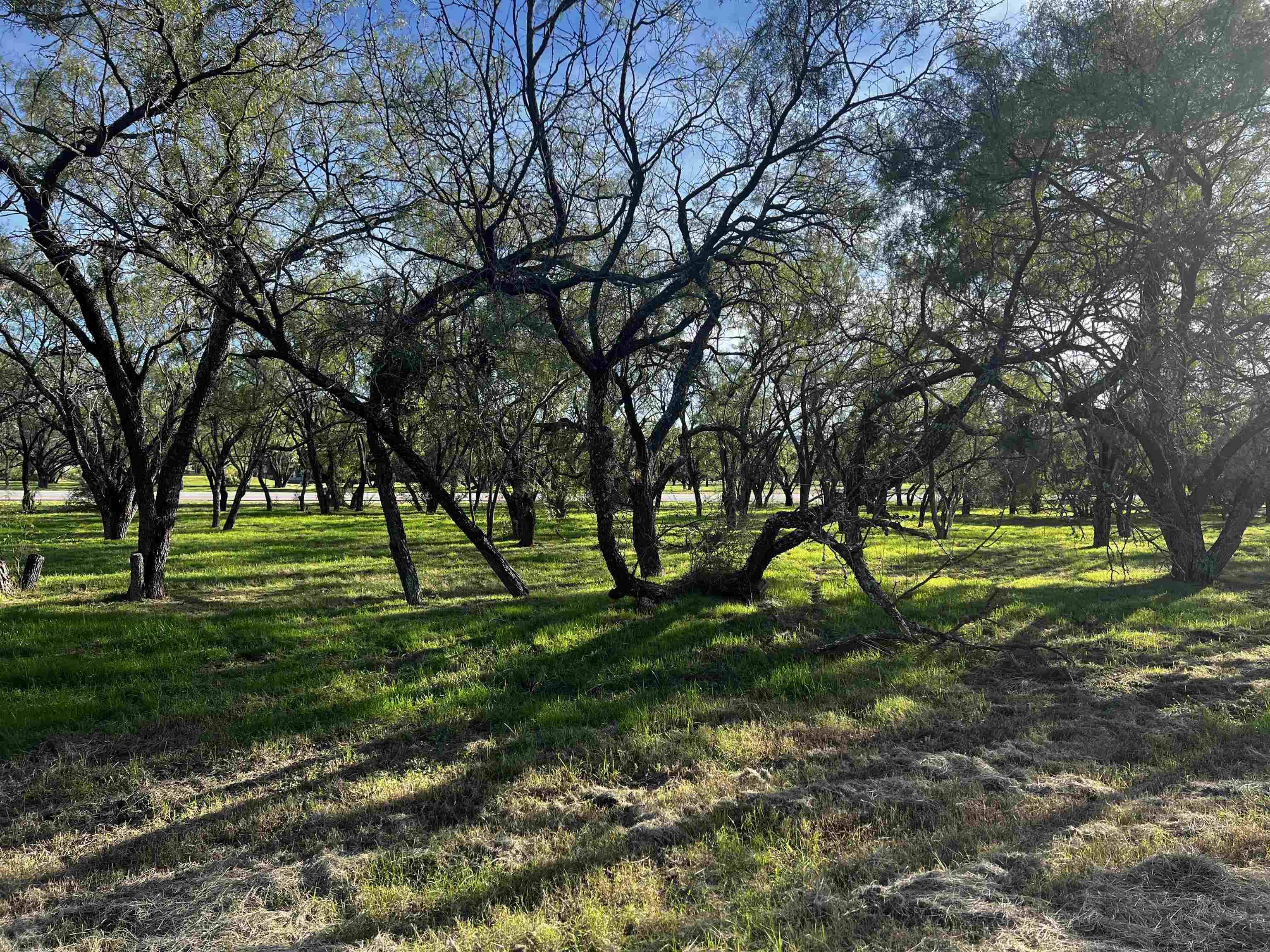 Horseshoe Bay, TX 78657,Lot 9006-B Springfield