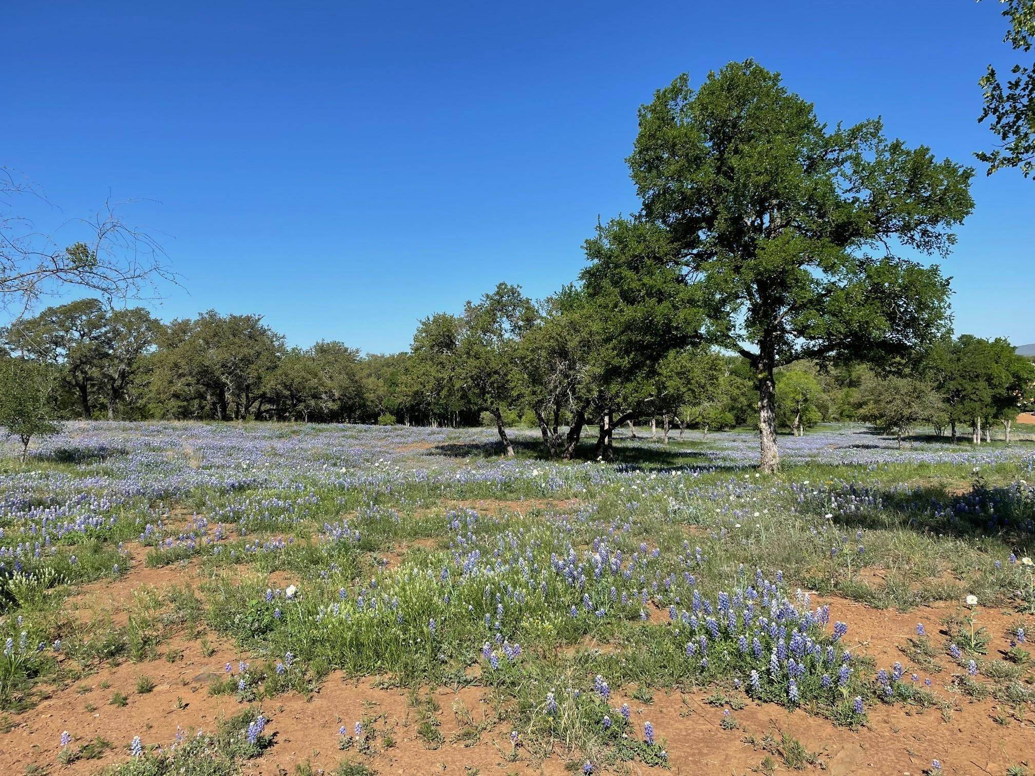 Horseshoe Bay, TX 78657,Lot 118 Overlook Pkwy