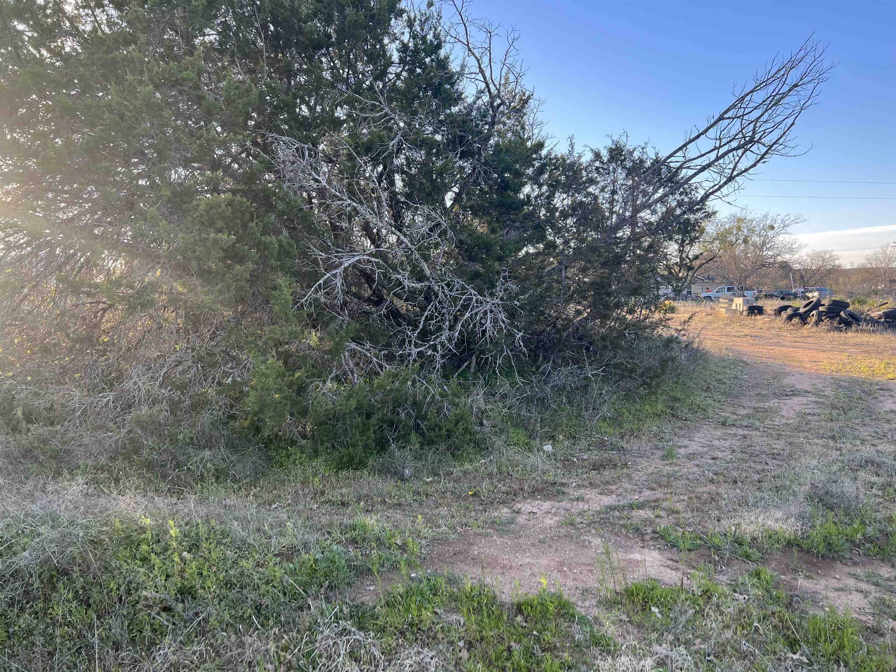 Kingsland, TX 78639,Lots 38-40 Pansy