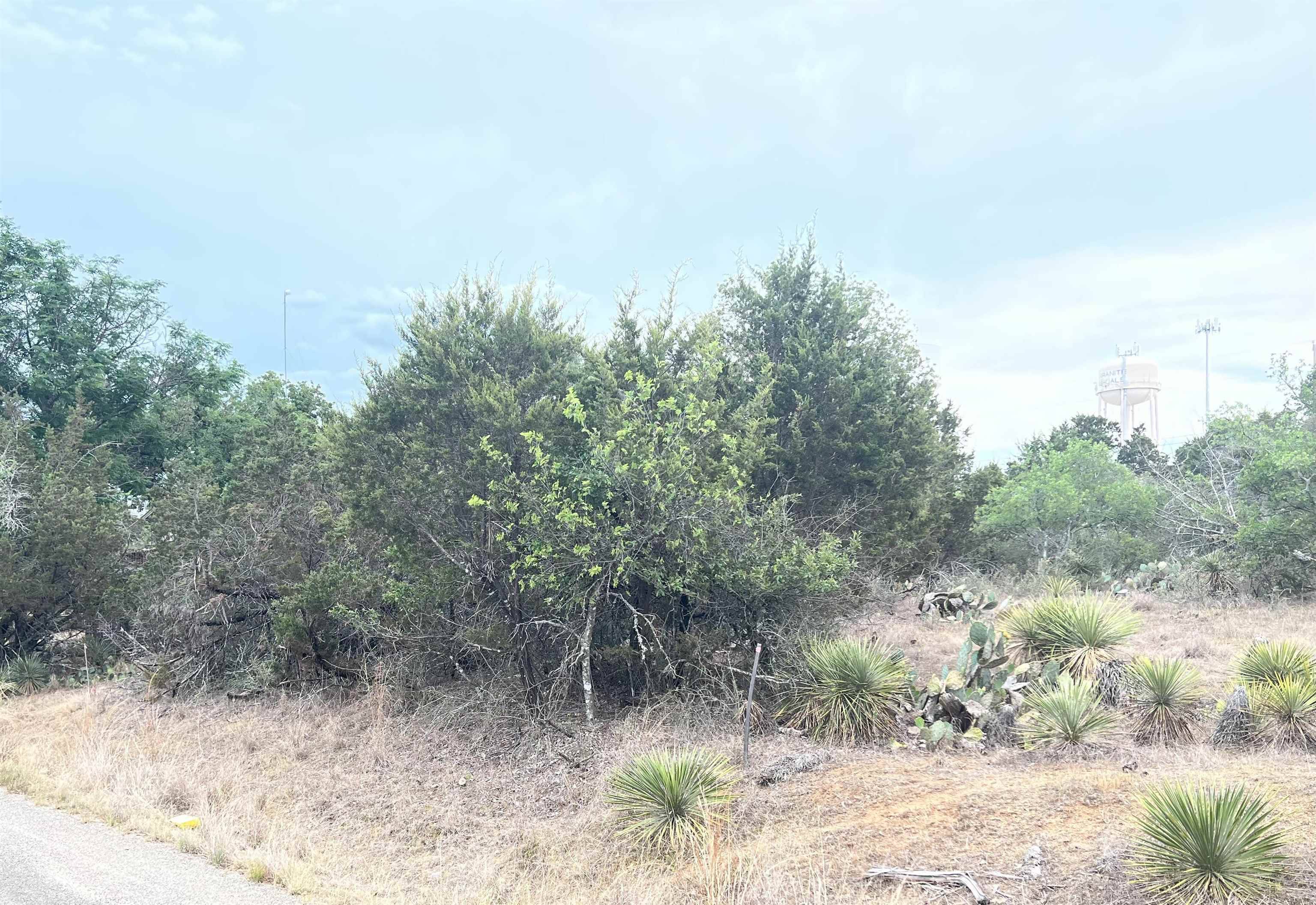 Granite Shoals, TX 78654,Lot 281 & 282 W Briarway DR