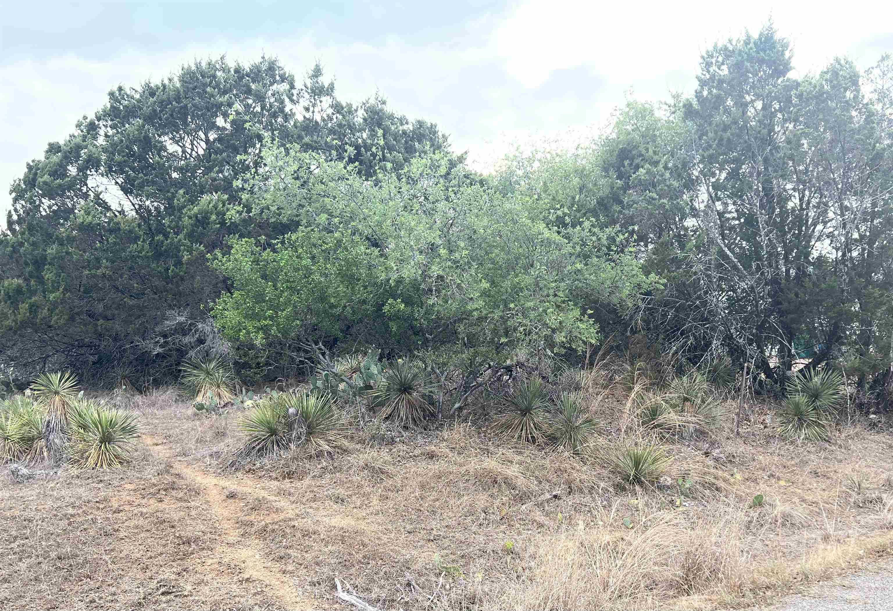 Granite Shoals, TX 78654,Lot 283 & 284 W Briarway DR