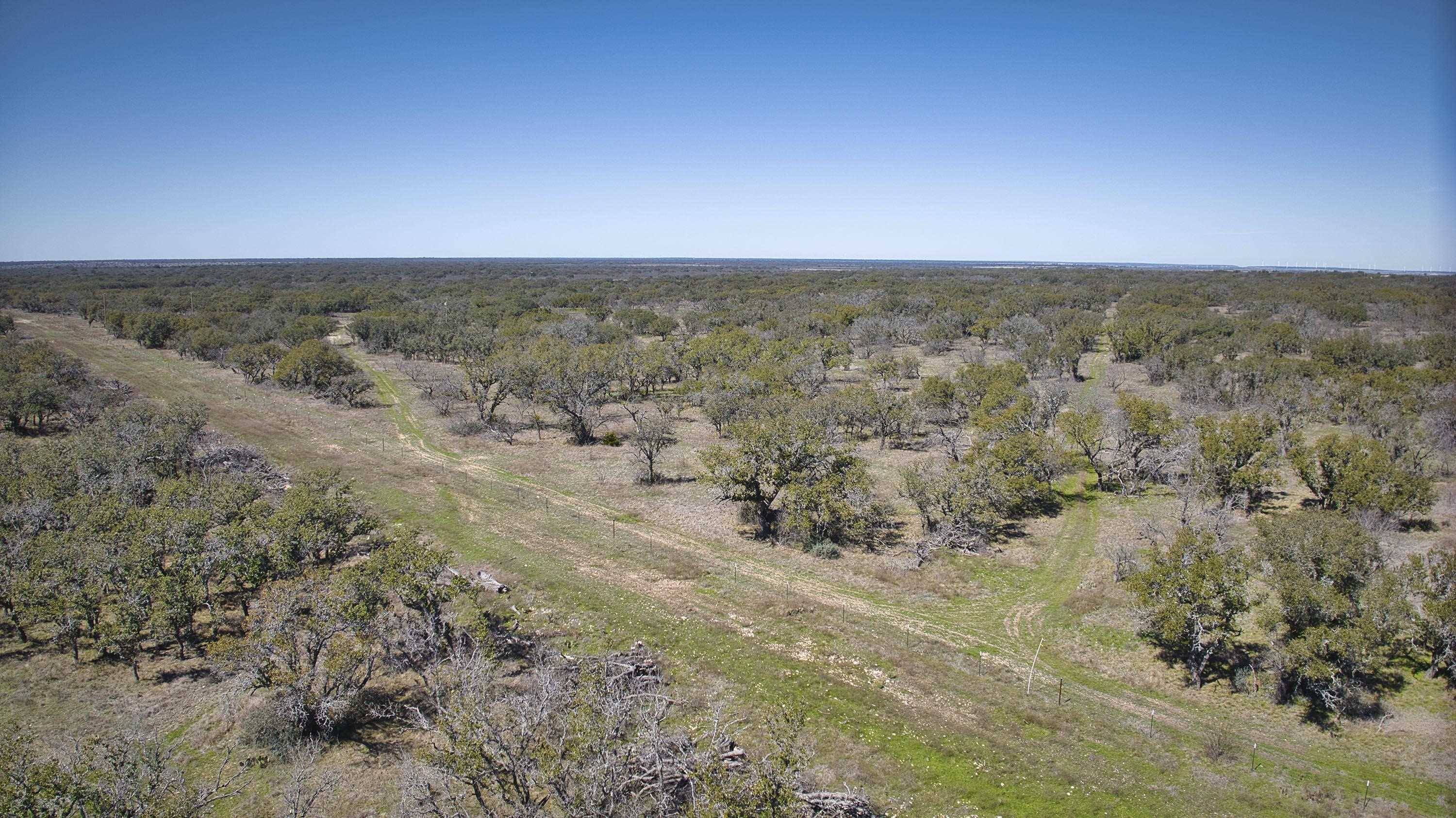 Brady, TX 78625-0000,50.05 Acres Antler LN