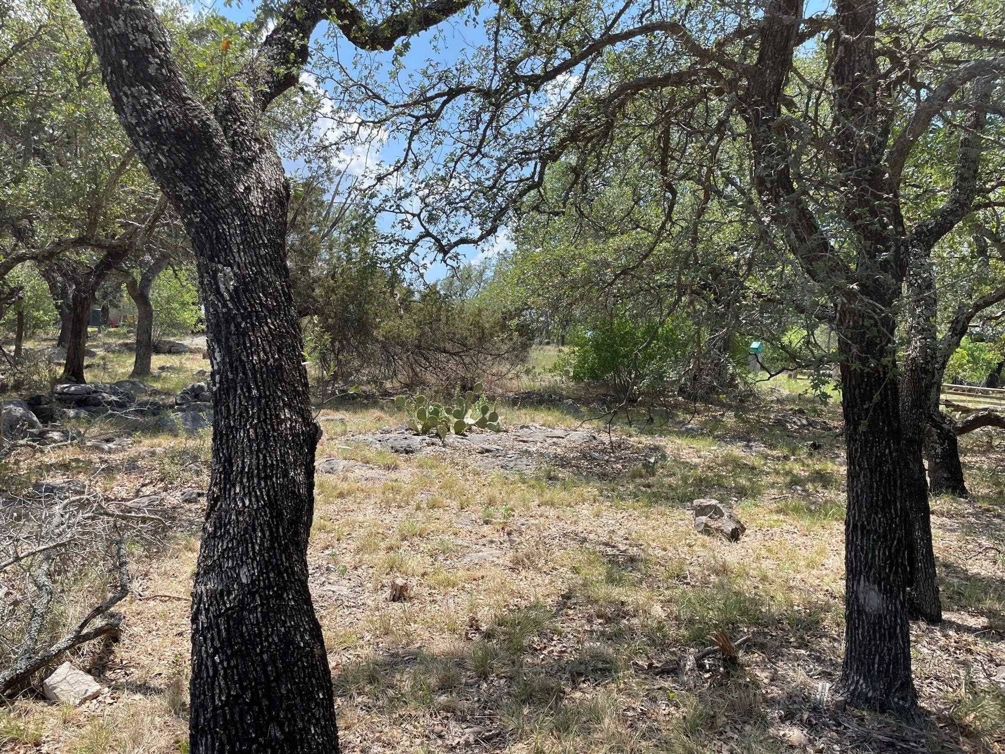 Horseshoe Bay, TX 78657,Lot 44003B Mountain Dew