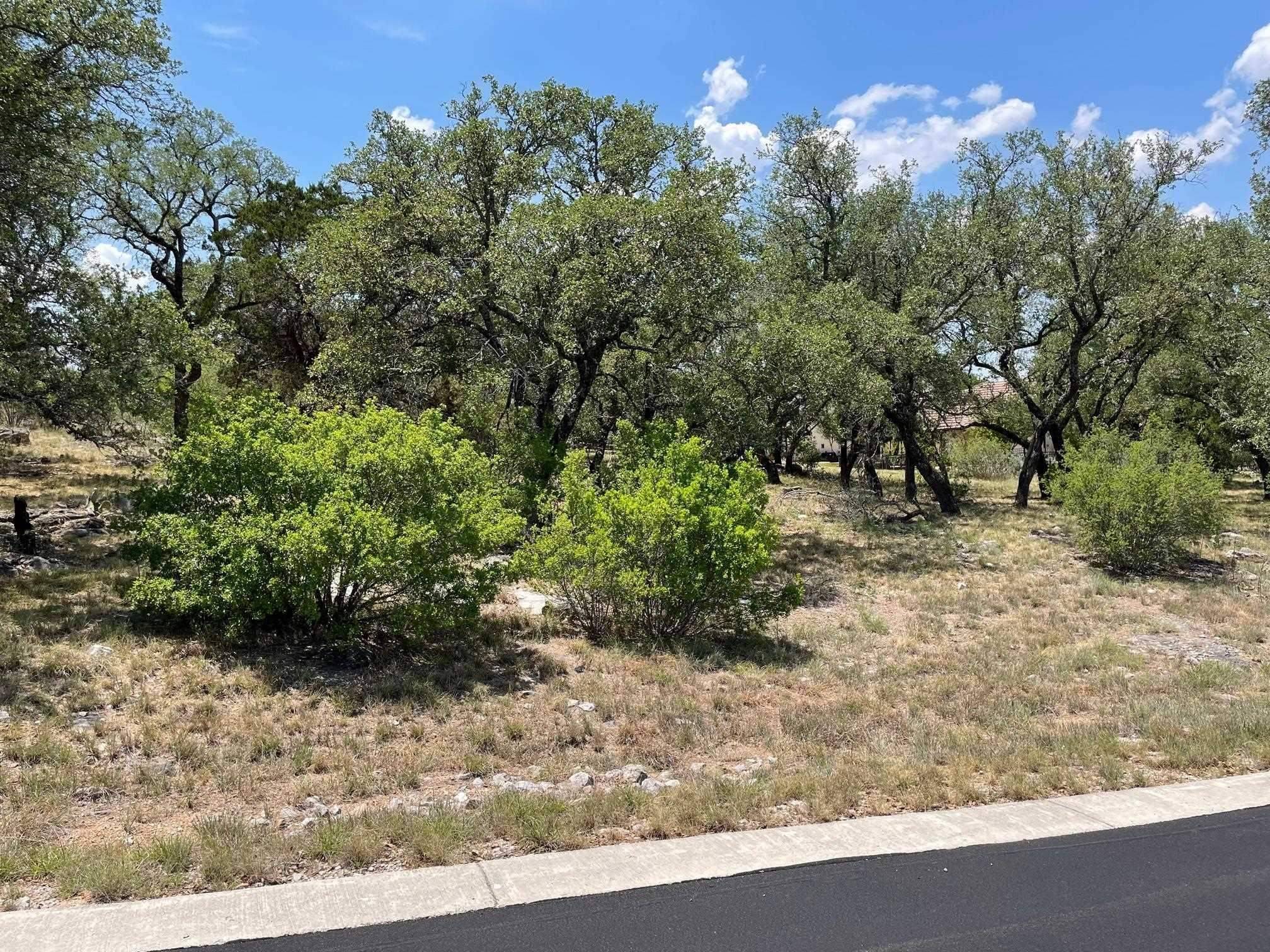 Horseshoe Bay, TX 78657,Lot 44003B Mountain Dew