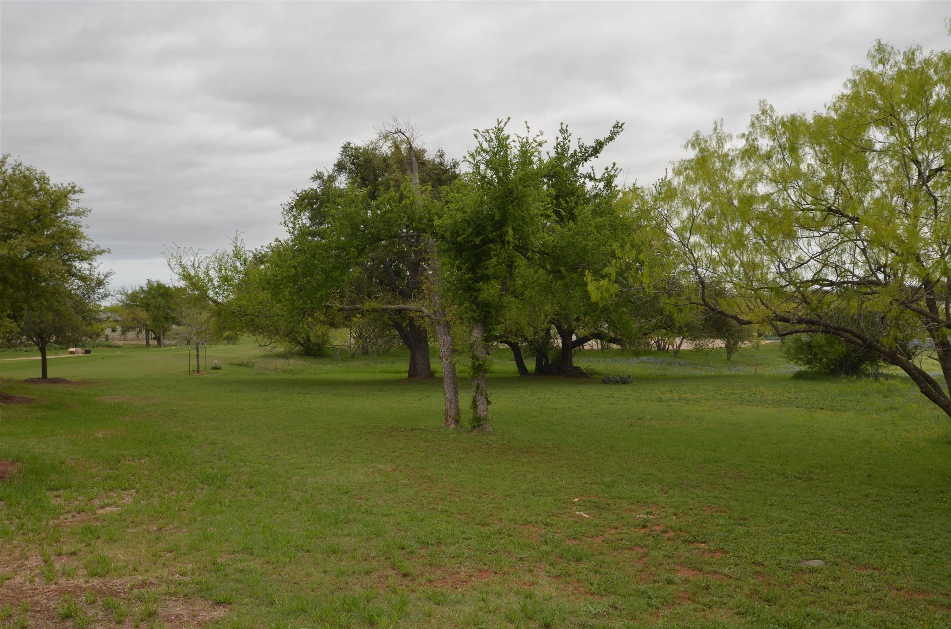 Horseshoe Bay, TX 78657,W21056 Gallop