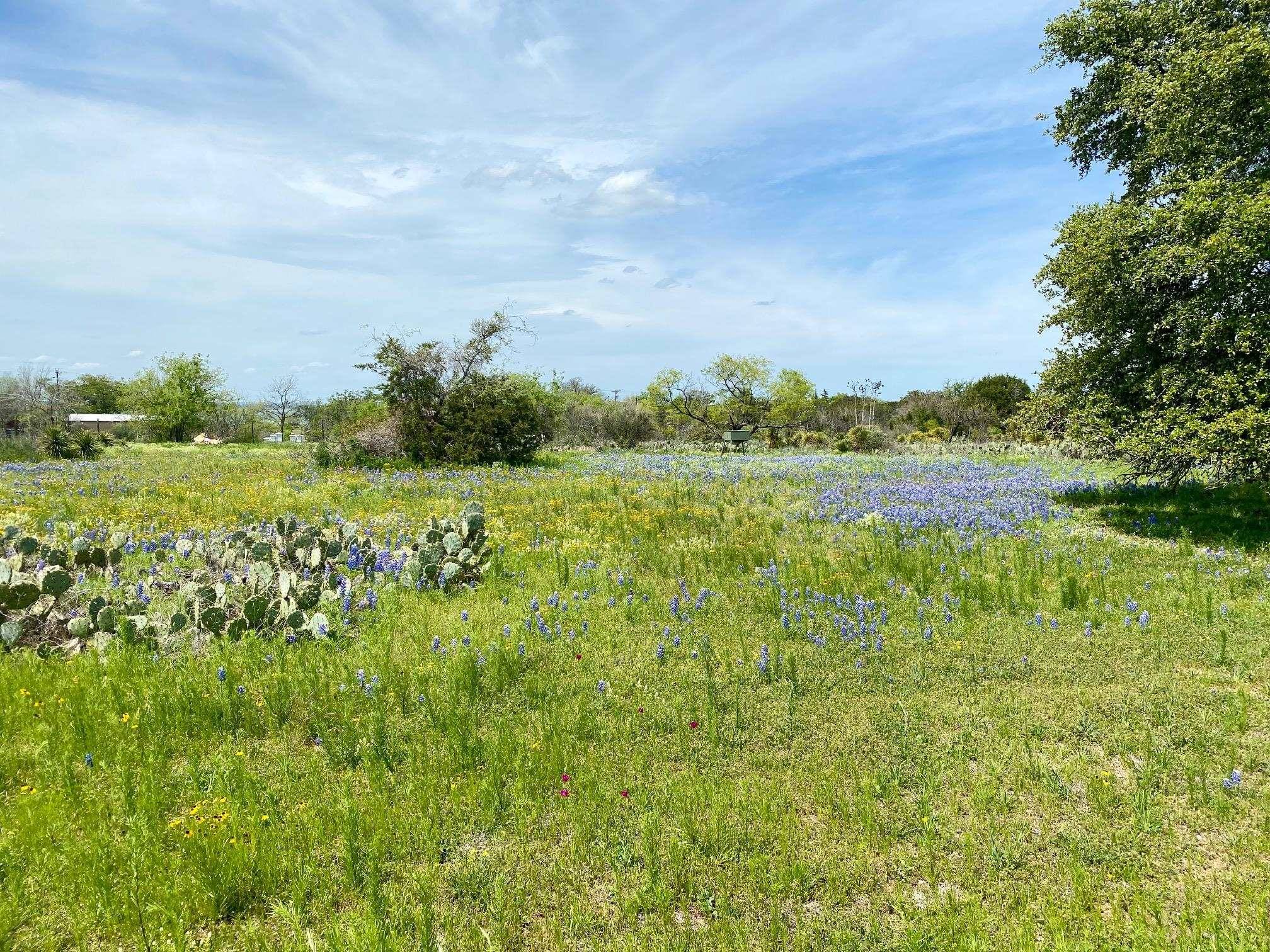 Burnet, TX 78611,000 FM 690