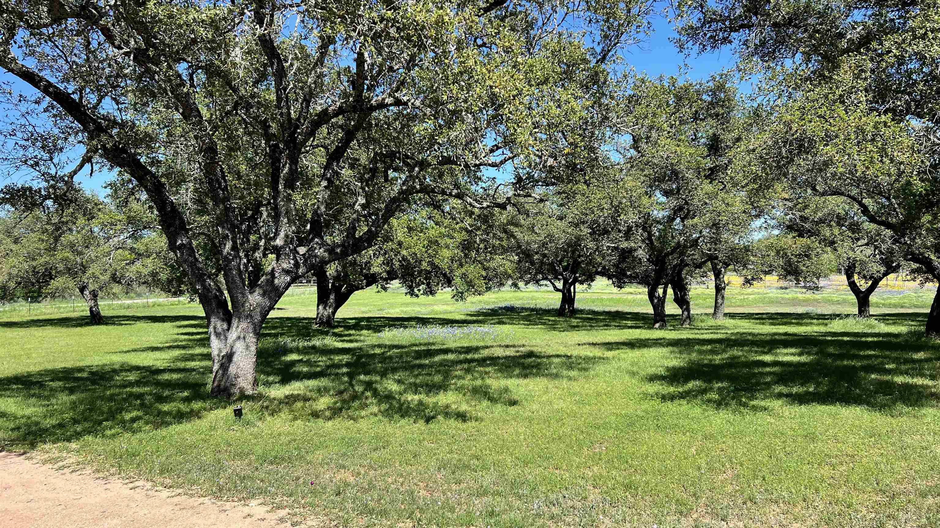 Llano, TX 78643,107 S Rio Llano DR