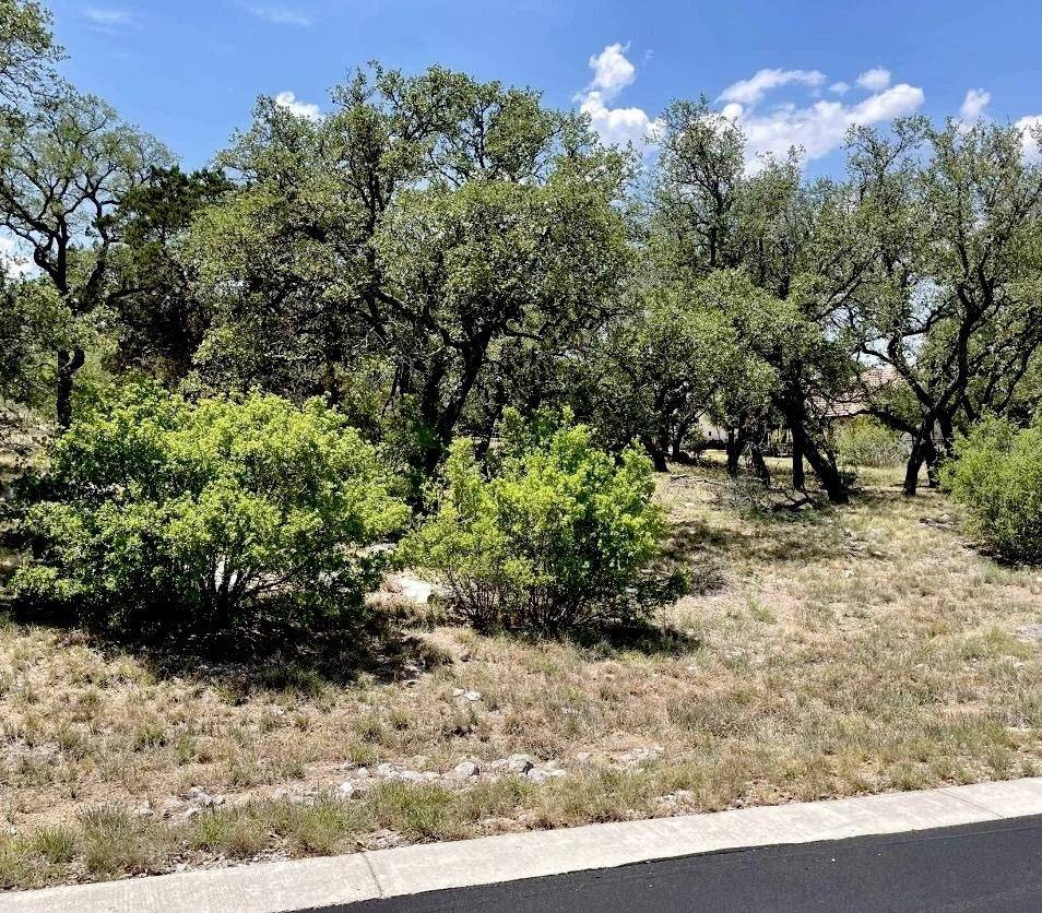 Horseshoe Bay, TX 78657,LOT 44004b Mountain Dew