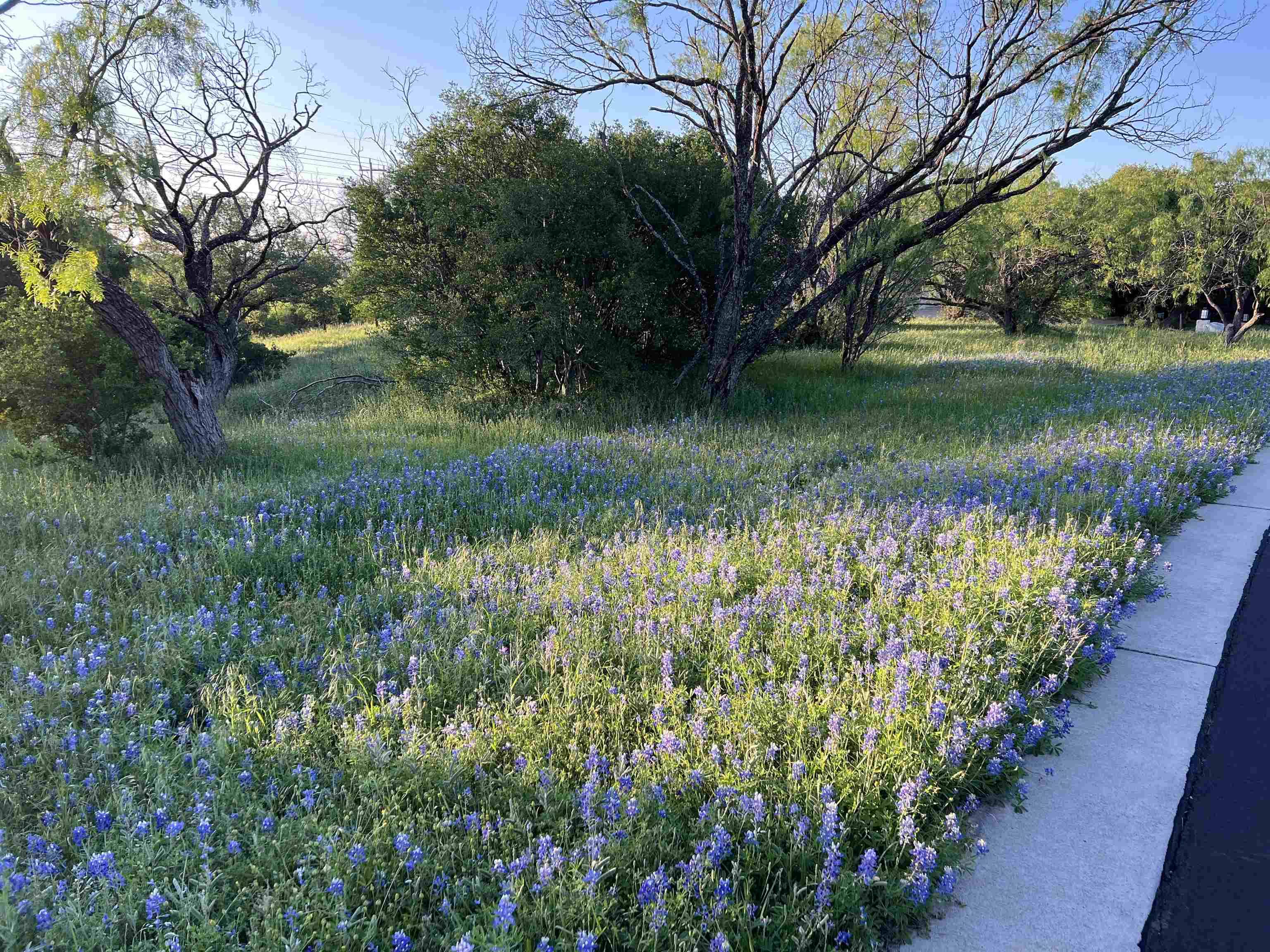 Horseshoe Bay, TX 78657,Lot 8003 Hi Circle West