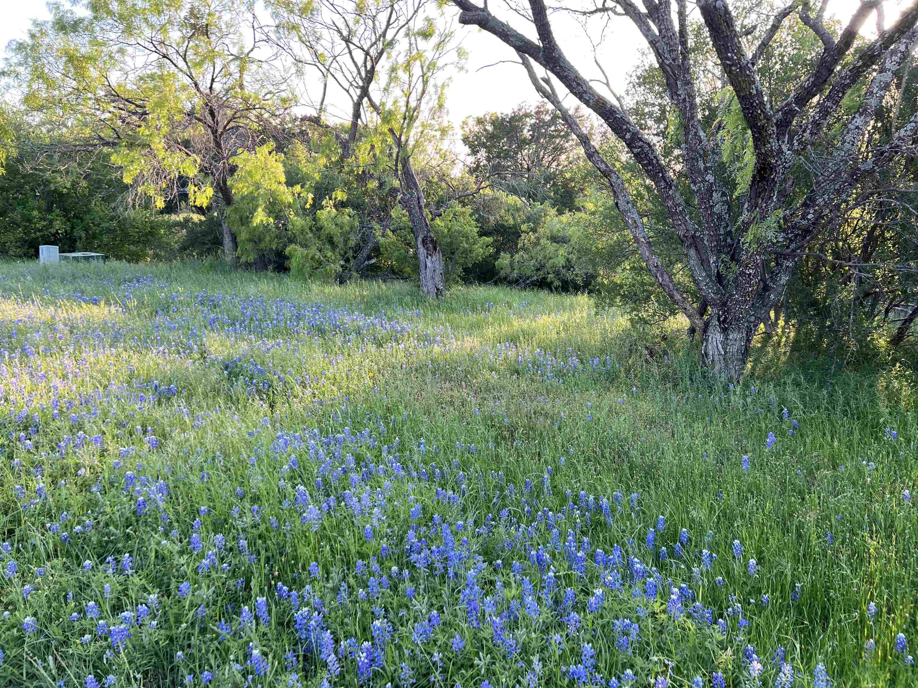 Horseshoe Bay, TX 78657,Lot 8003 Hi Circle West
