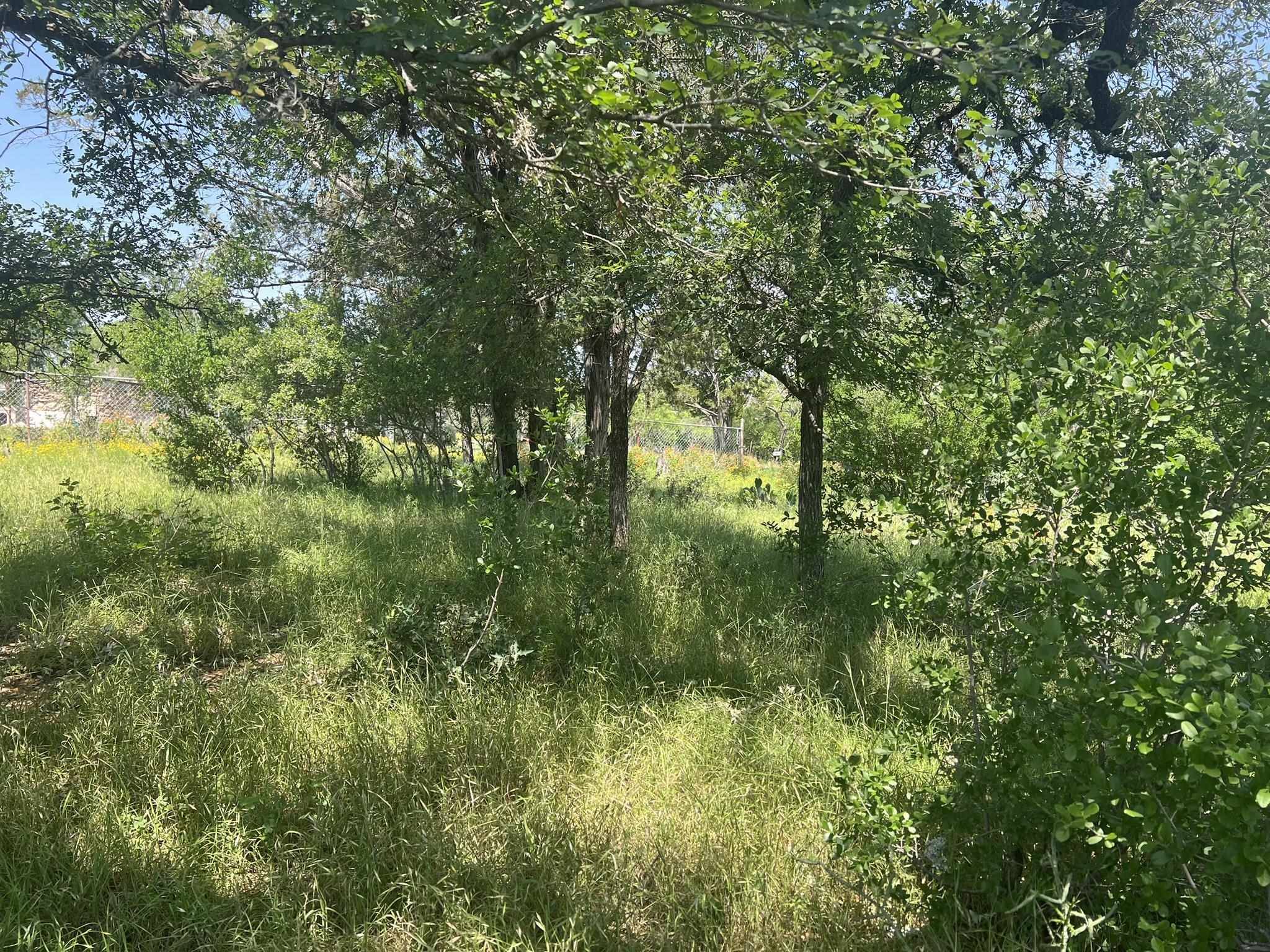 Cottonwood Shores, TX 78657,Lot 554 Maple LN