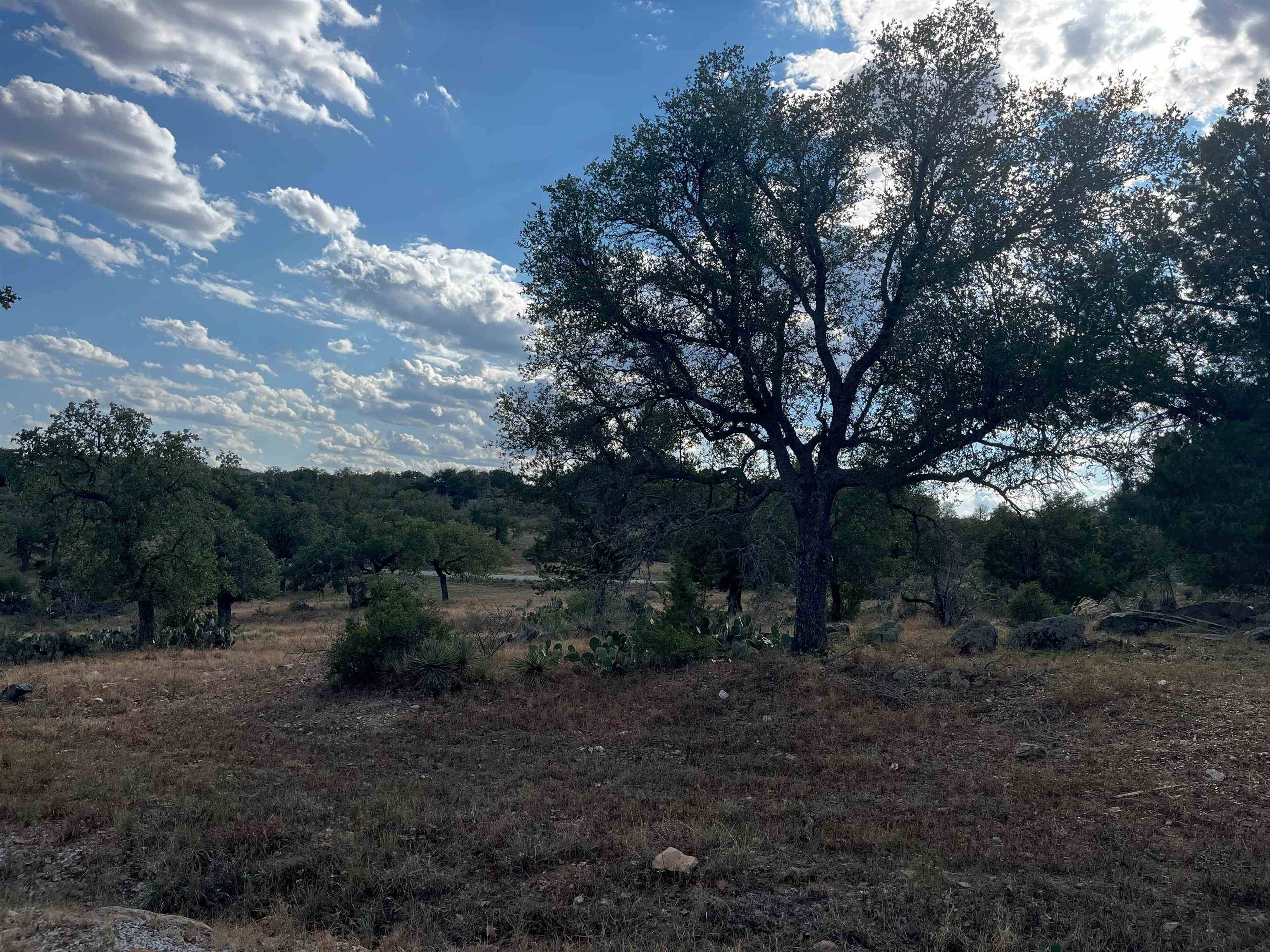 Horseshoe Bay, TX 78657,1604 Twin Sisters