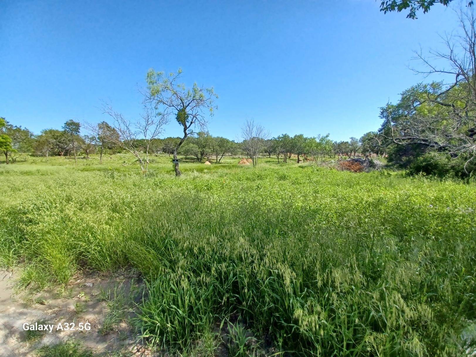 Burnet, TX 78611,319 Sunset DR