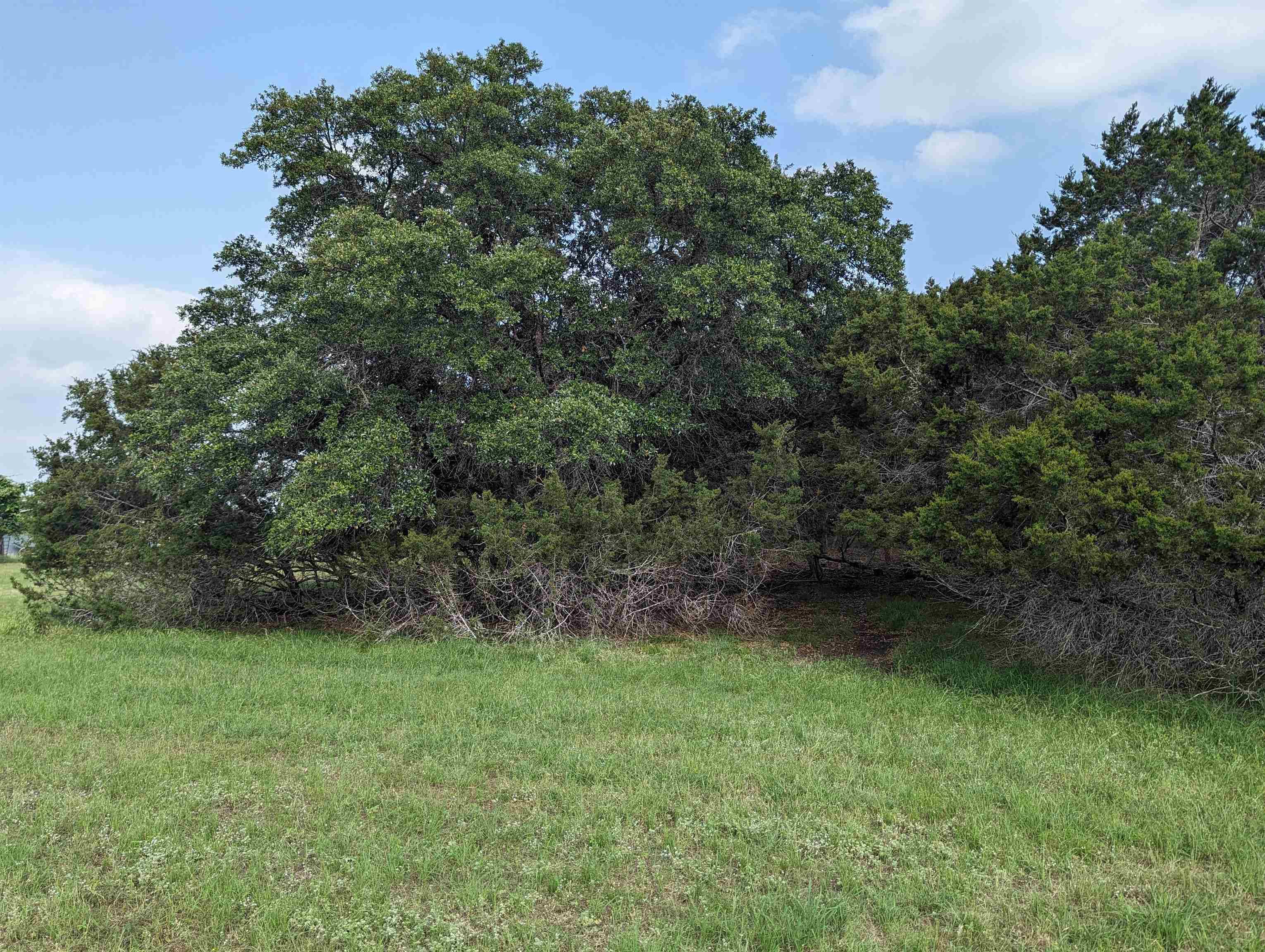 Burnet, TX 78608,Lot 62 Briggs Estates