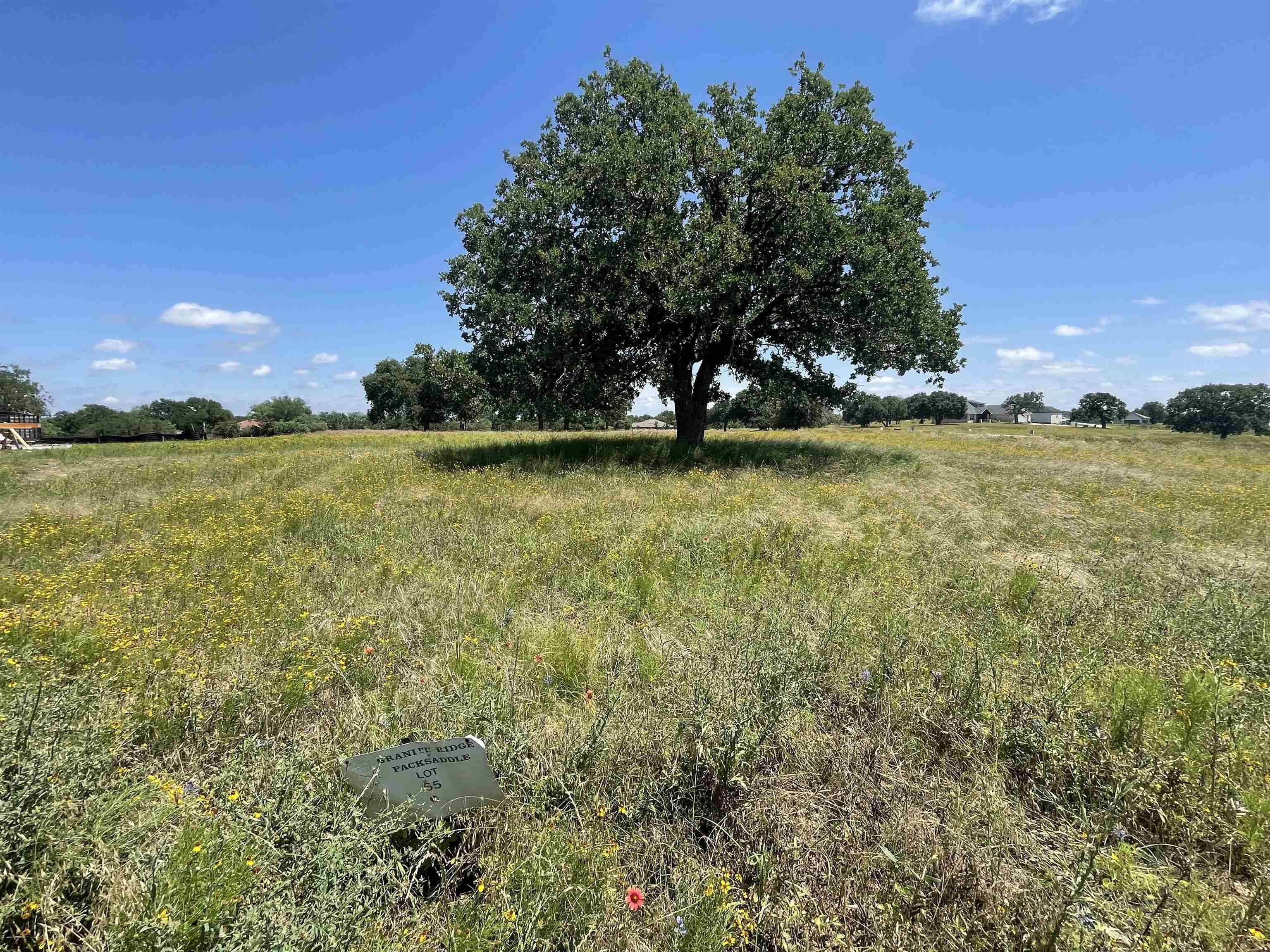 Kingsland, TX 78639,TBD Oak Grove Pkwy