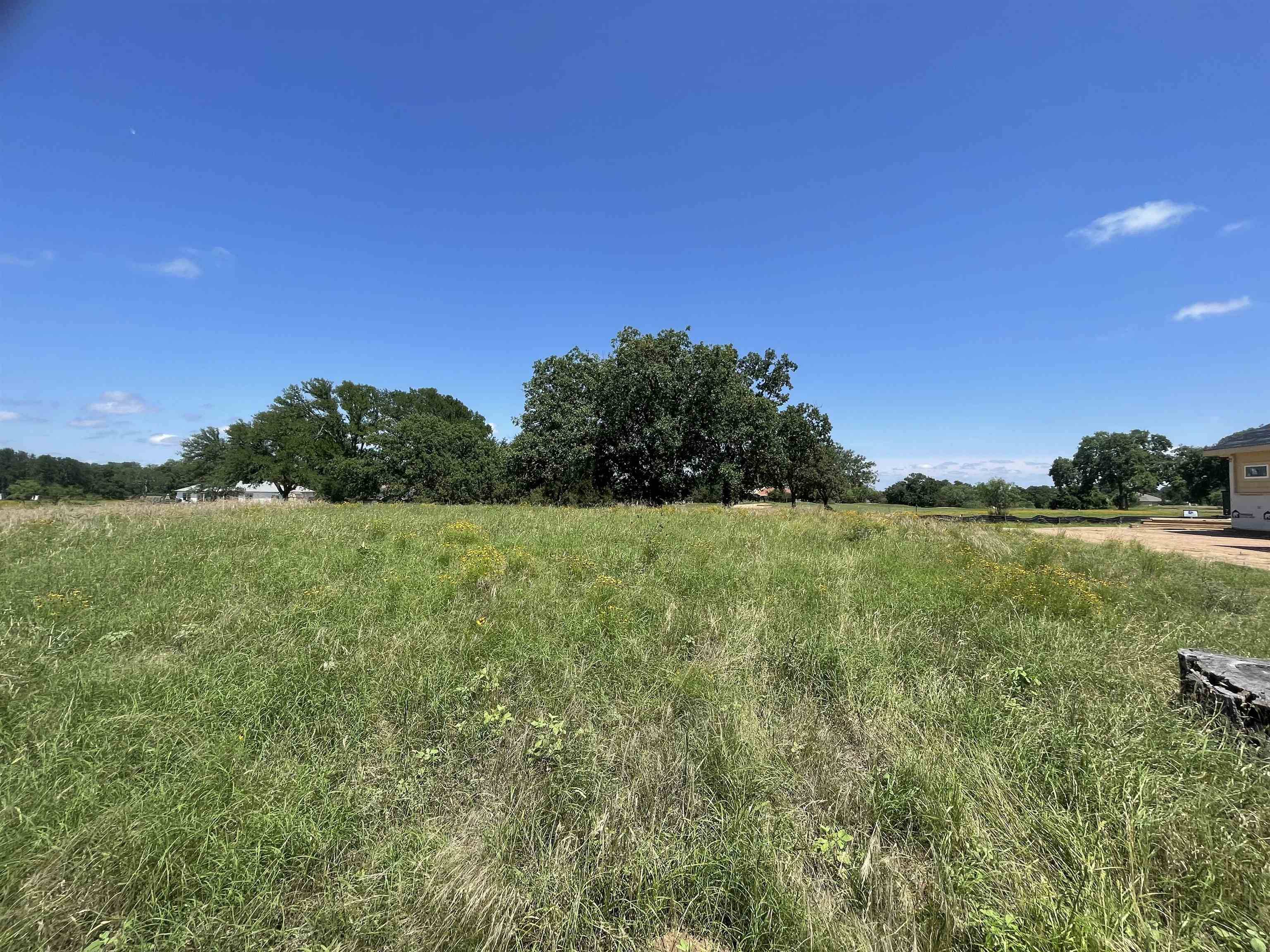 Kingsland, TX 78639,000 Oak Grove Pkwy