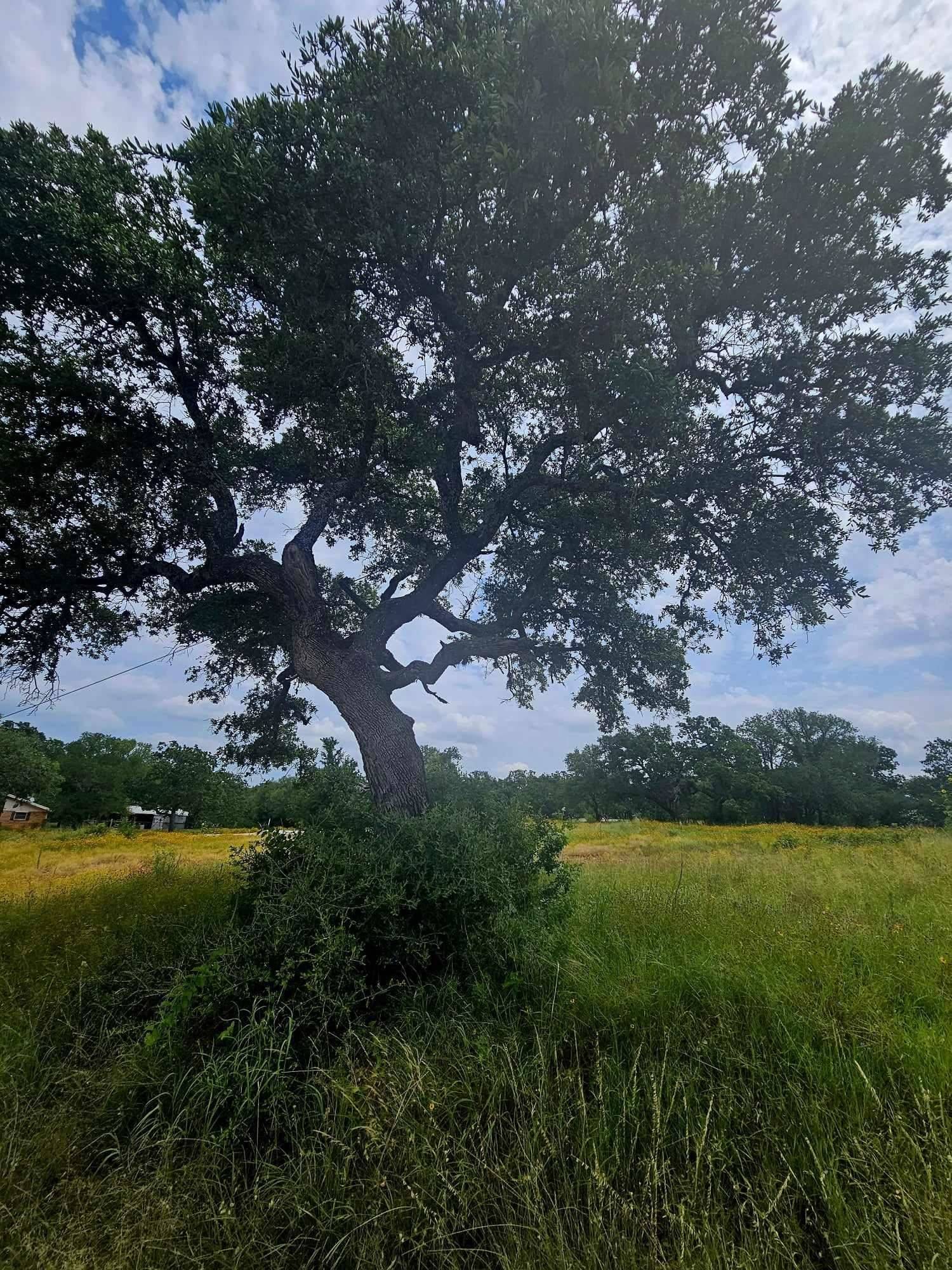 Kingsland, TX 78639,Lot 18 Timberidge DR