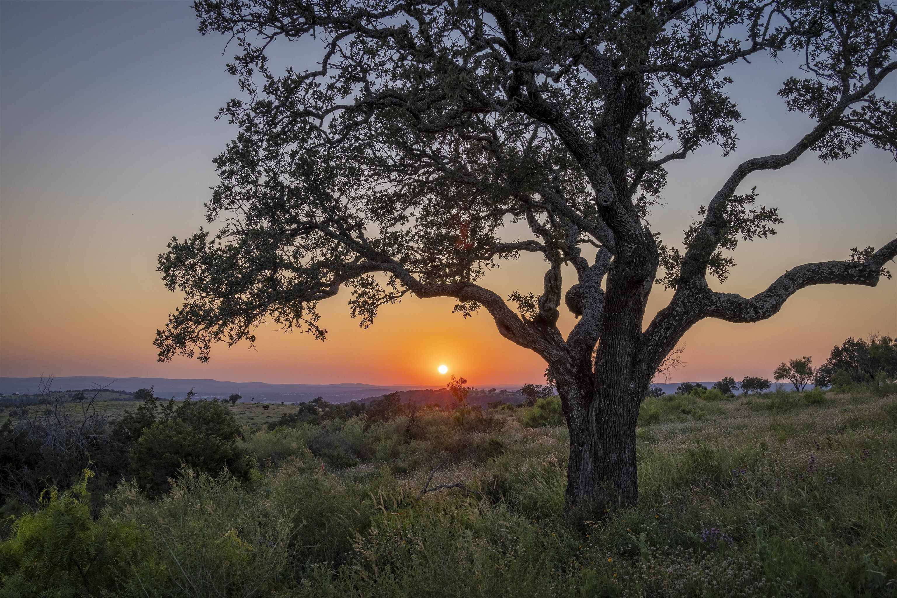 Kingsland, TX 78639,Lot 13A High Range Dr