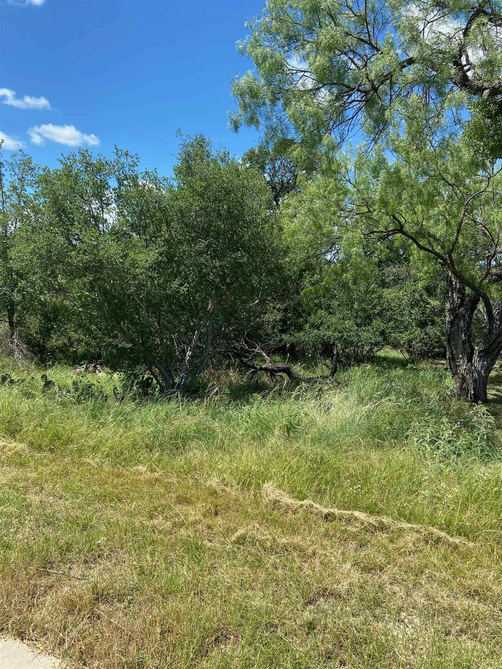 Horseshoe Bay, TX 78657,lot 158 N. Blue Ridge Trail