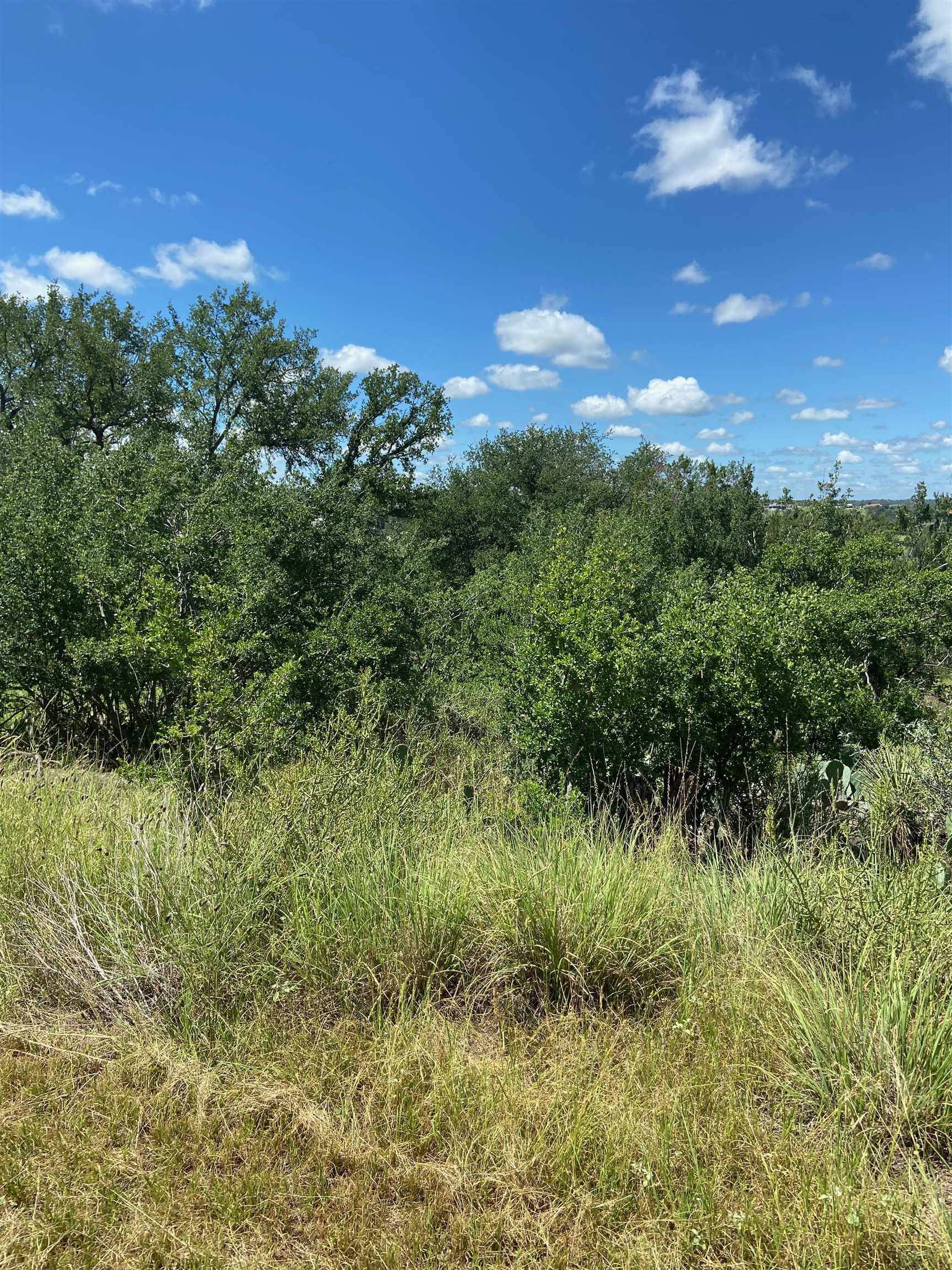 Horseshoe Bay, TX 78657,lot 158 N. Blue Ridge Trail