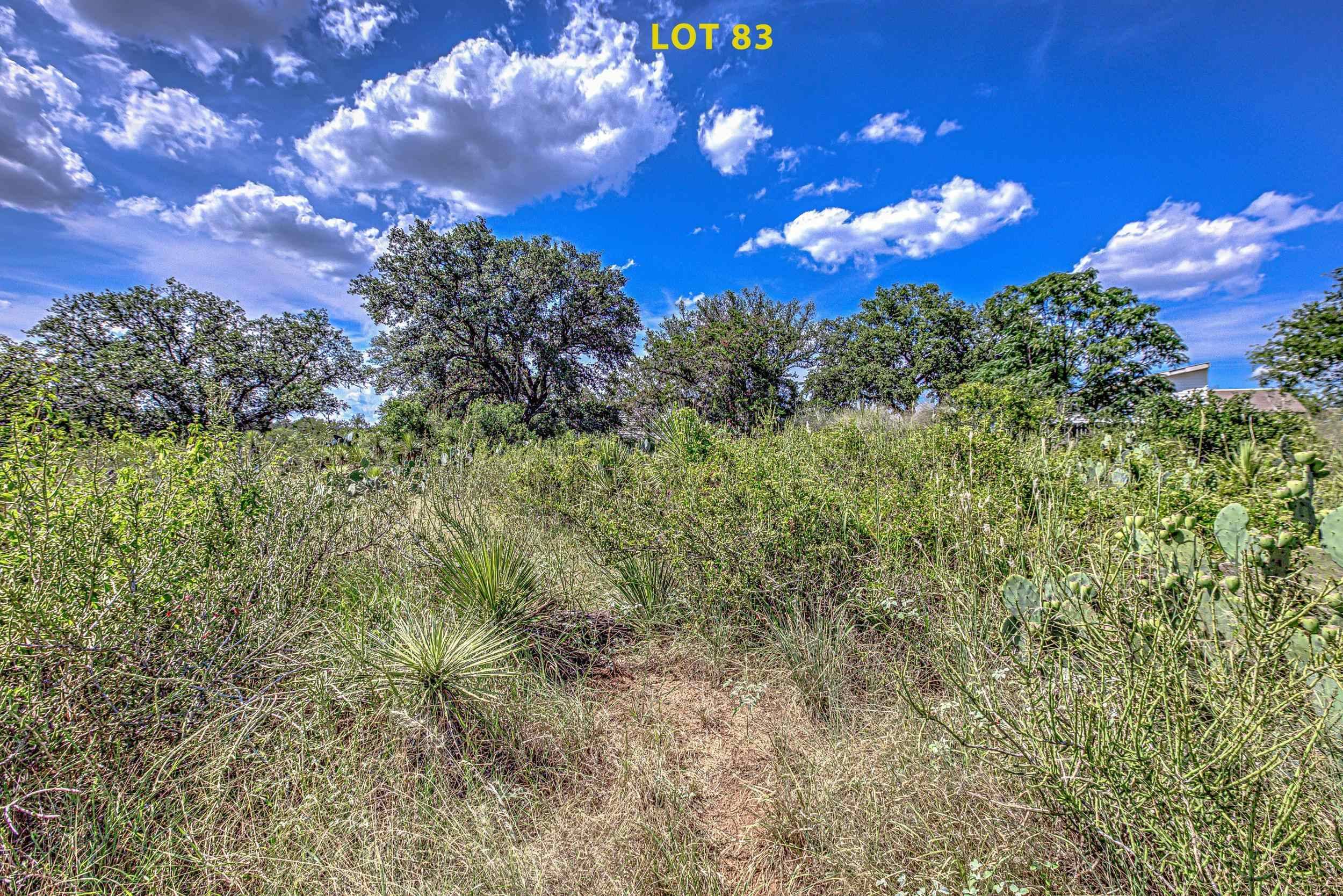 Granite Shoals, TX 78654,Lot 83 W Bluebriar DR