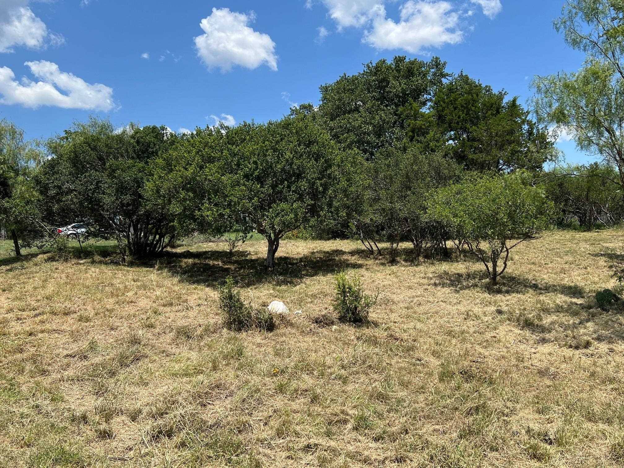 Horseshoe Bay, TX 78657-0000,Lot 138 Lagoon Loop