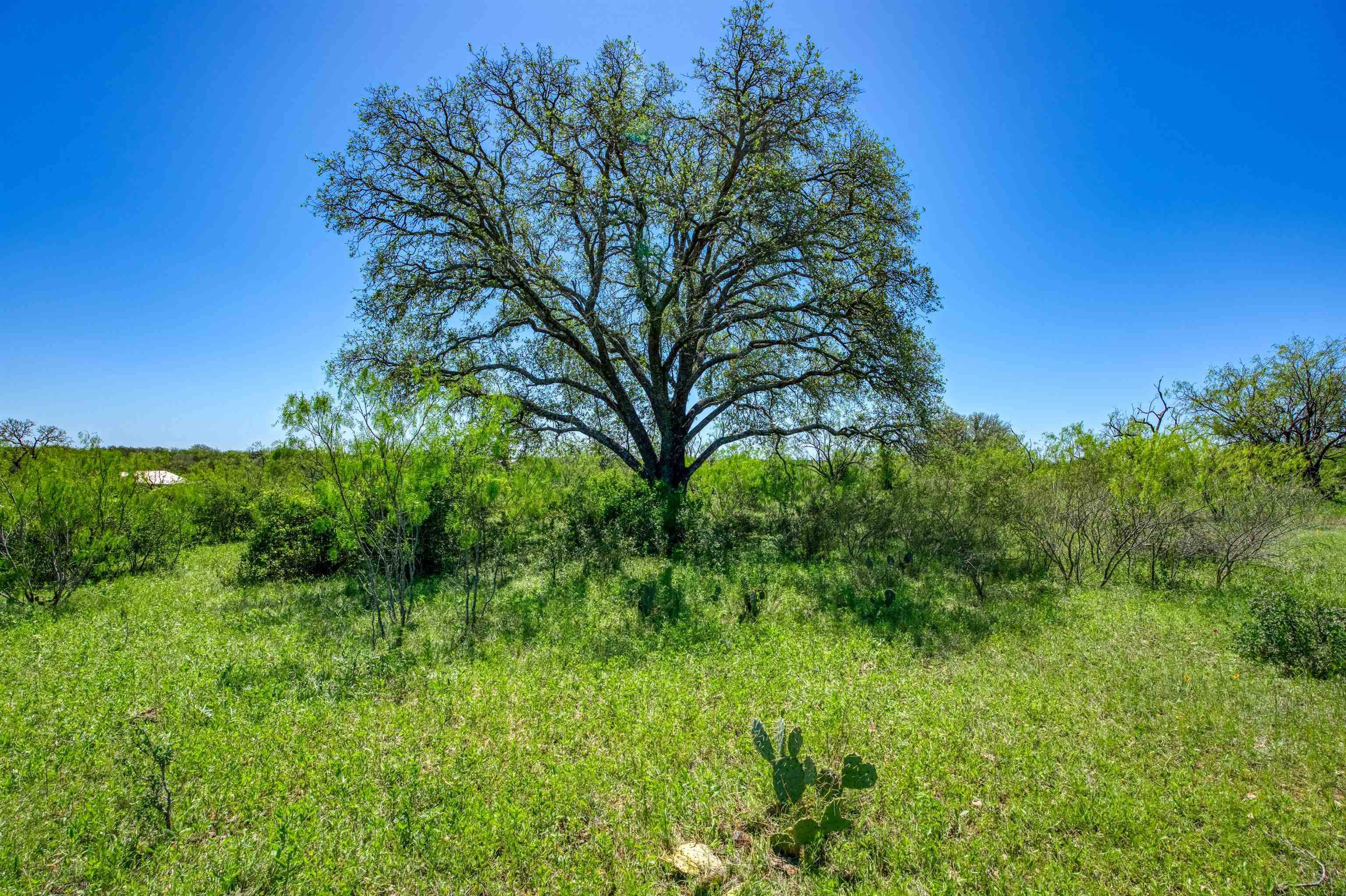 Spicewood, TX 78669,TBD LOT 6B Schoolhouse Lane