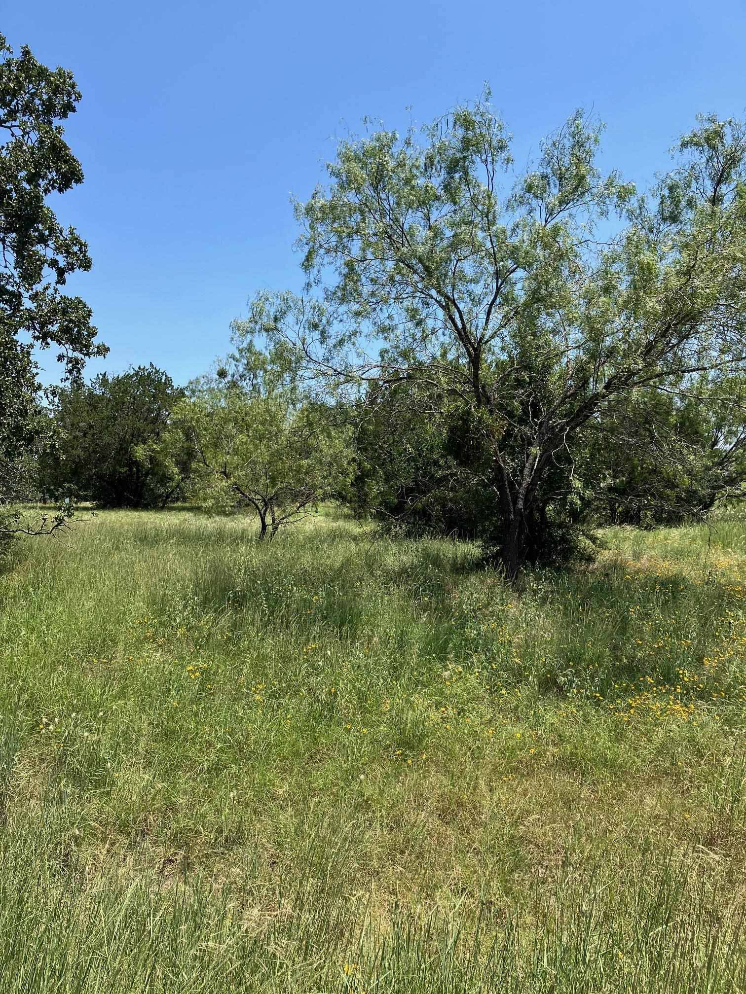 Horseshoe Bay, TX 78657,W19002 Fault line