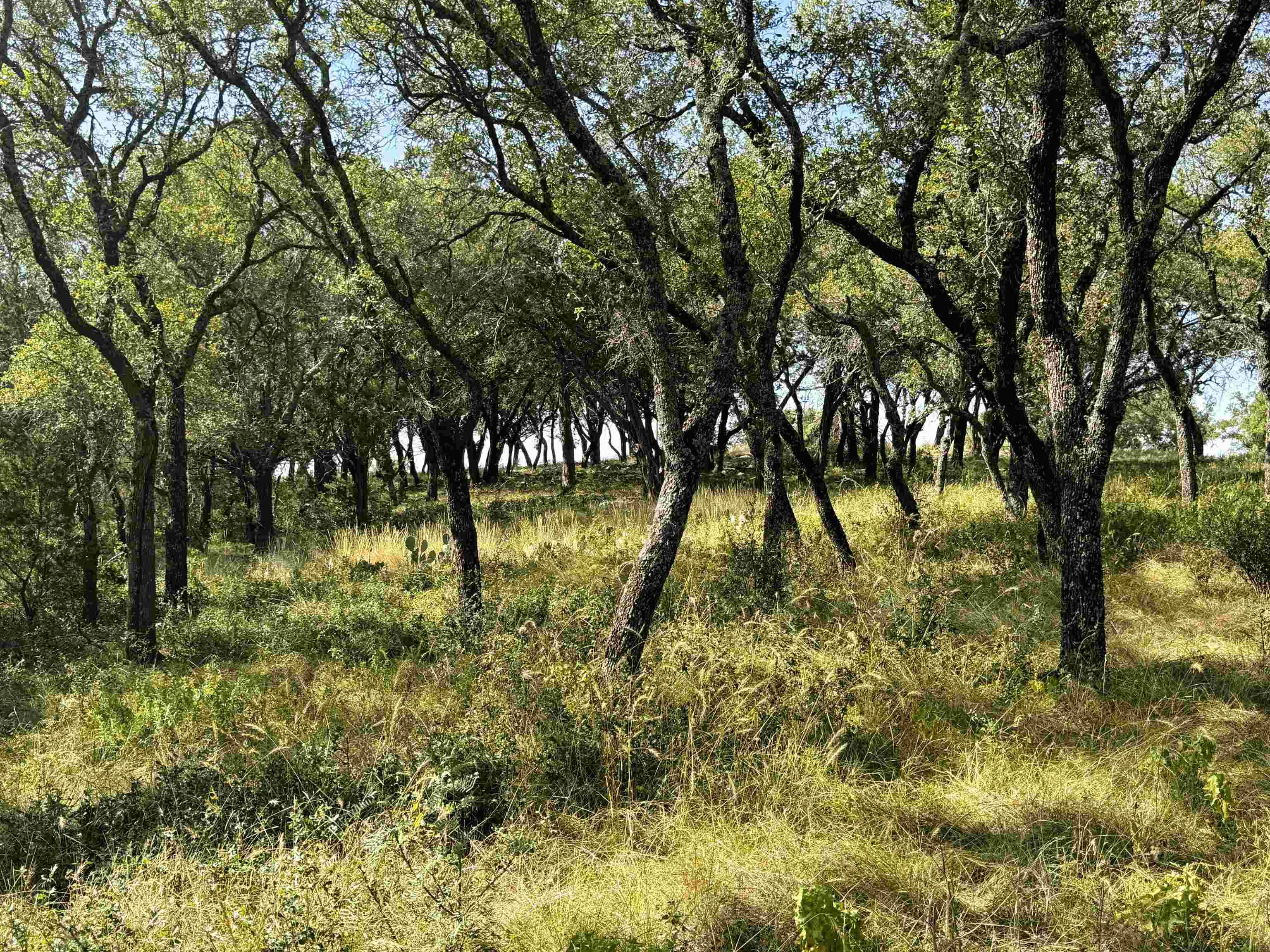 San Saba, TX 76877,Rocky Hollow Lot 90