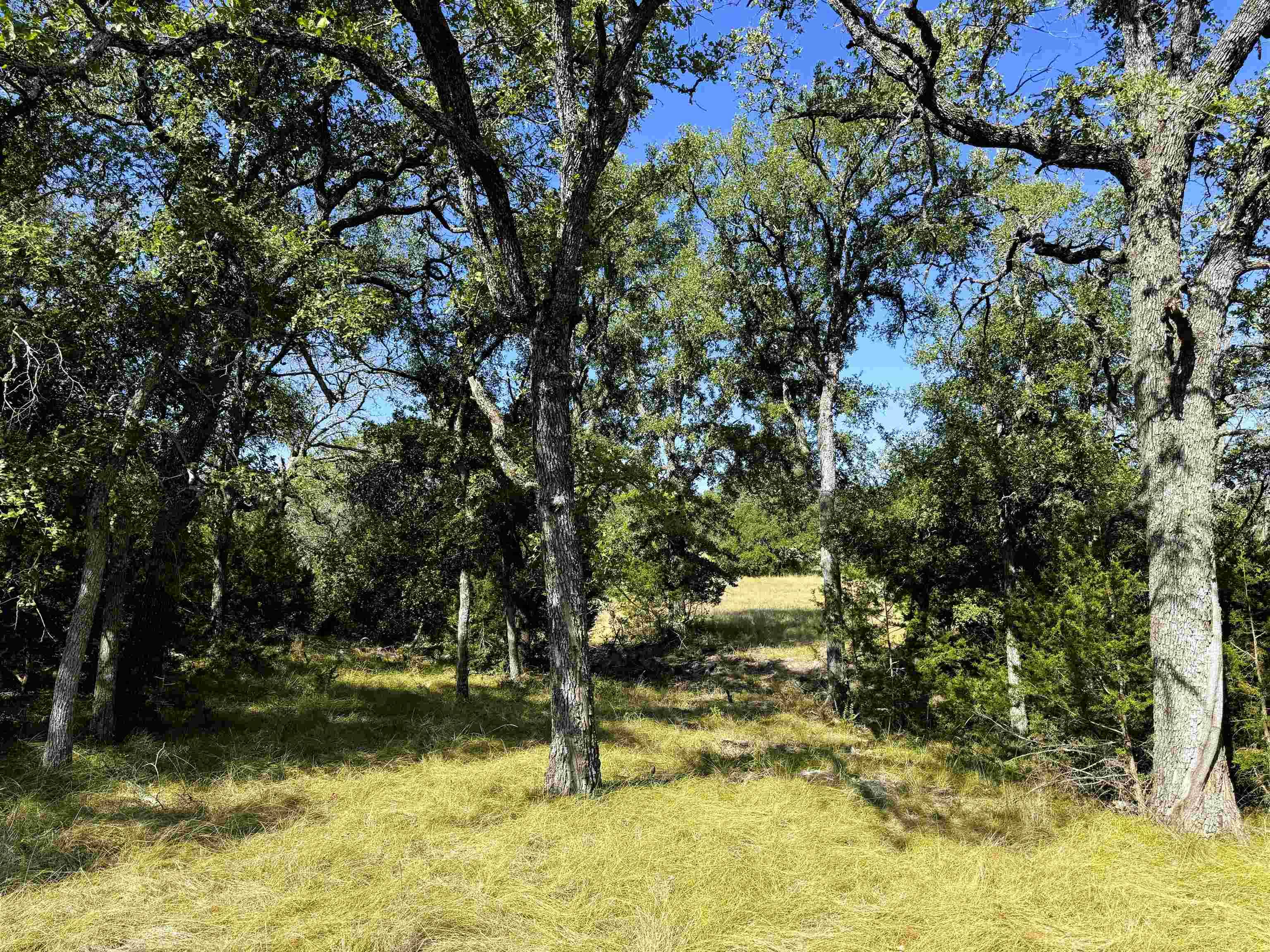 San Saba, TX 76877,Rocky Hollow Lot 90