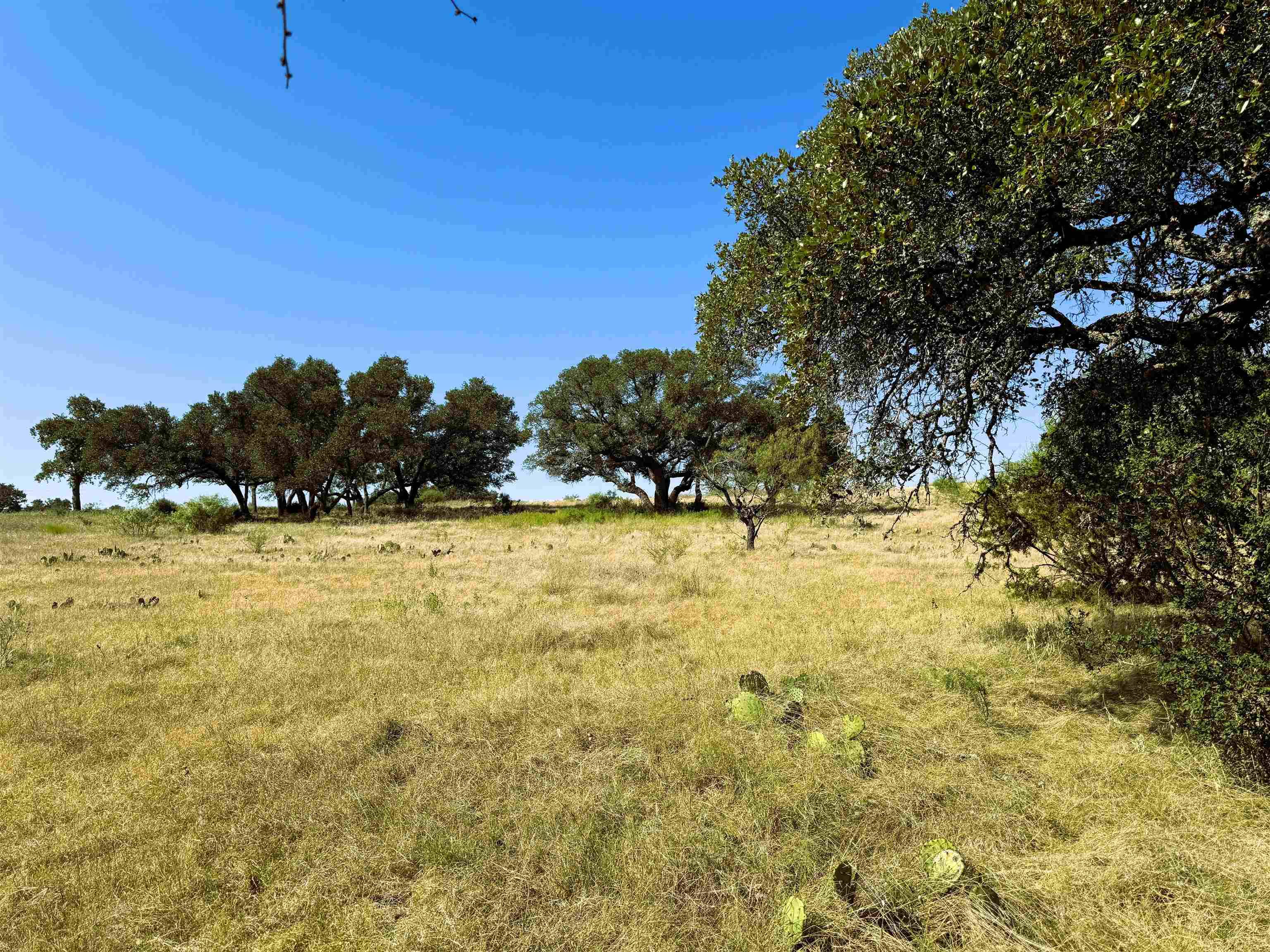 San Saba, TX 76877,Rocky Hollow Lot 90