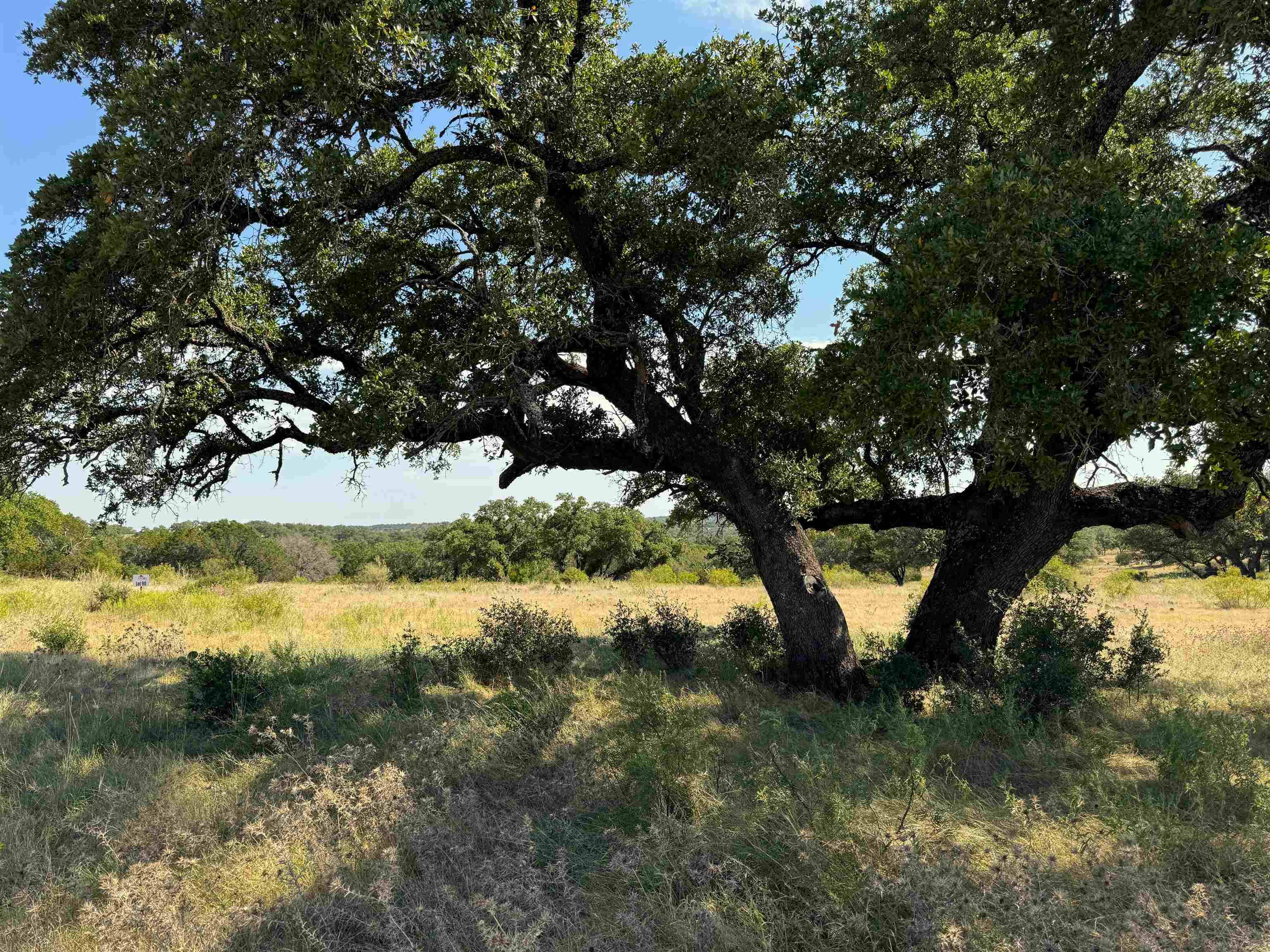 San Saba, TX 76877,Rocky Hollow Lot 90