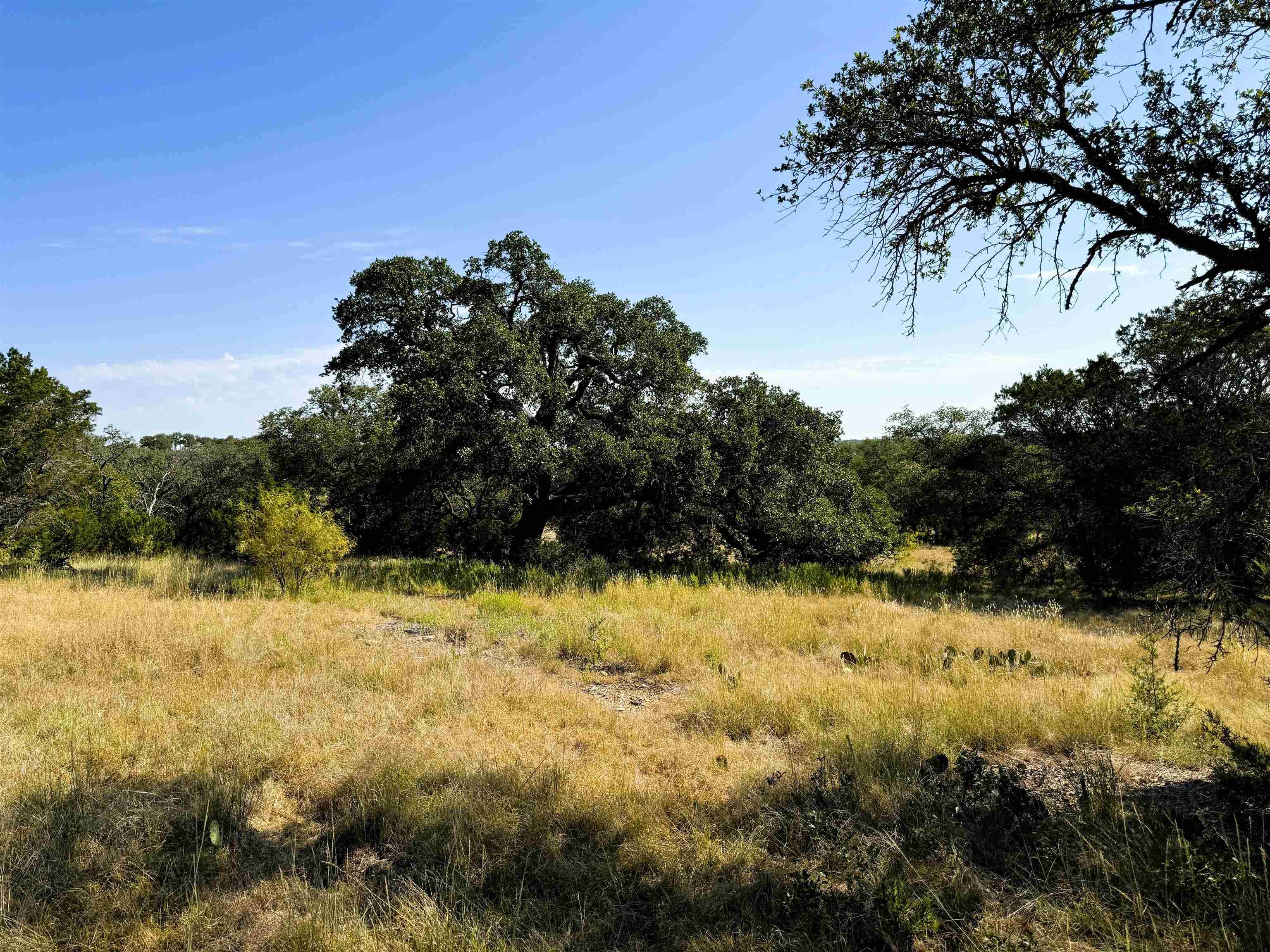 San Saba, TX 76877,Rocky Hollow Lot 90