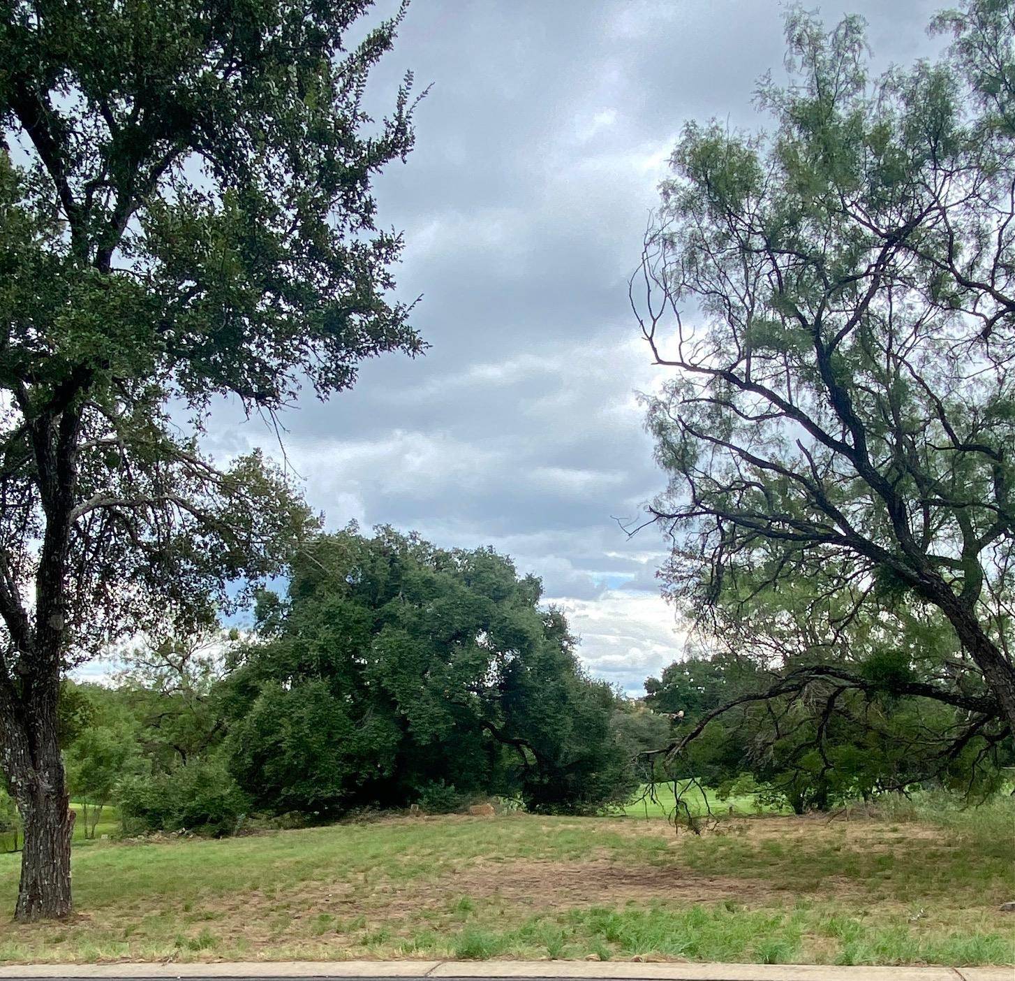 Horseshoe Bay, TX 78657,W16013-C Fault Line