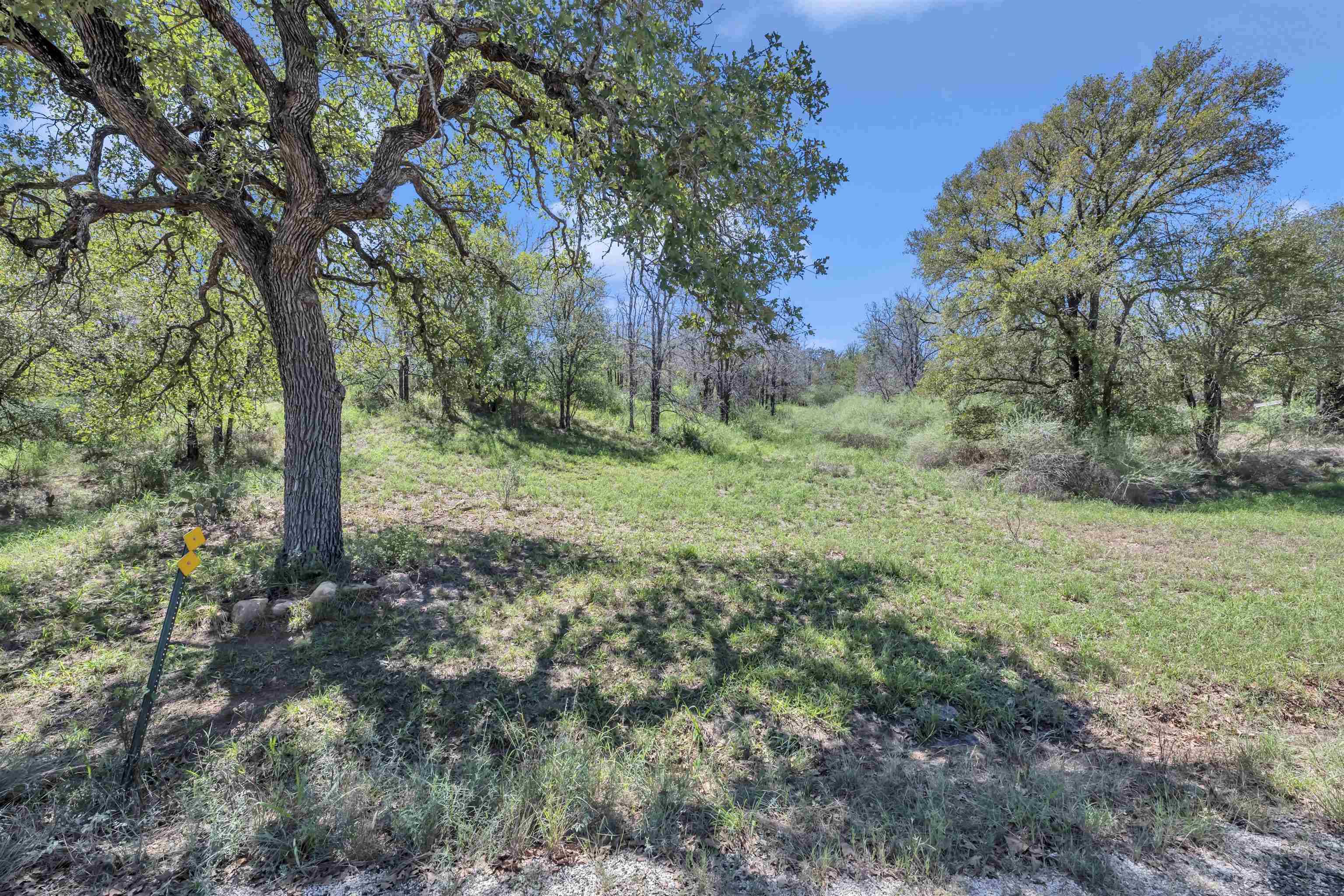 Kingsland, TX 78639,Lot 166 &167 Mountain View DR