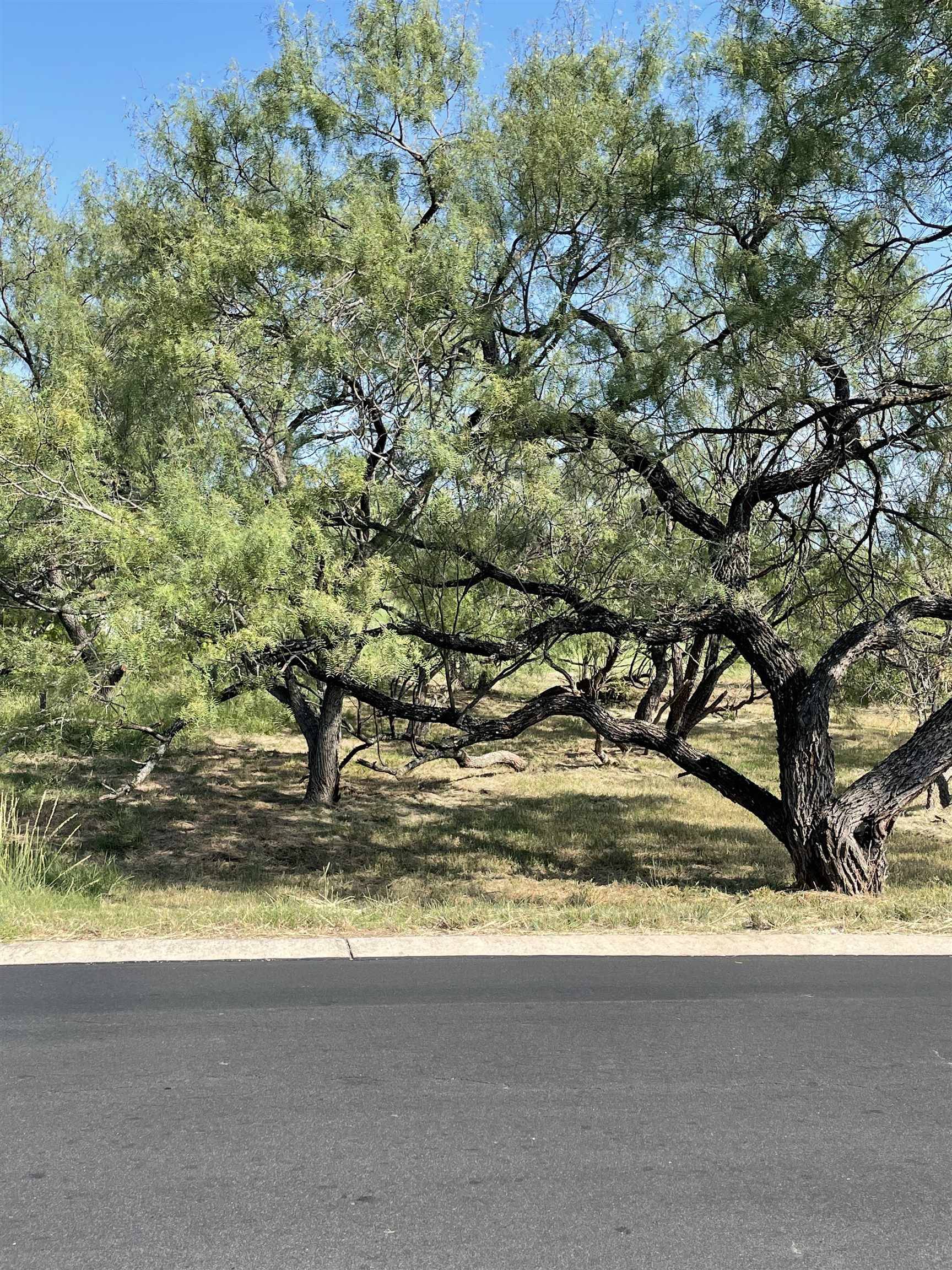 Horseshoe Bay, TX 78657,Lot 19009 Hi Circle S