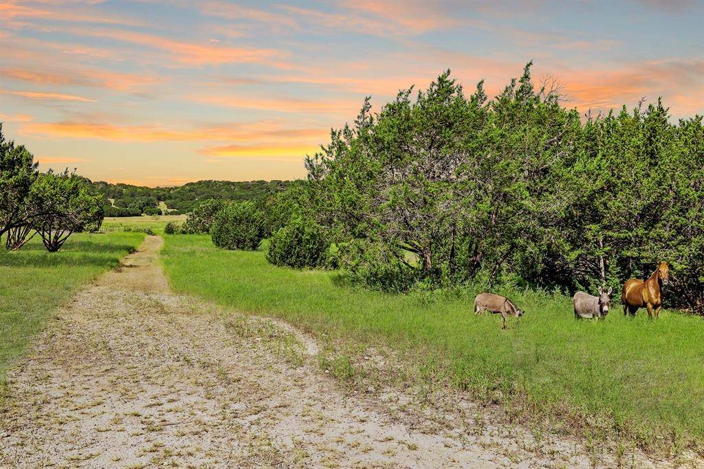 Kempner, TX 76539,3656 FM 2657