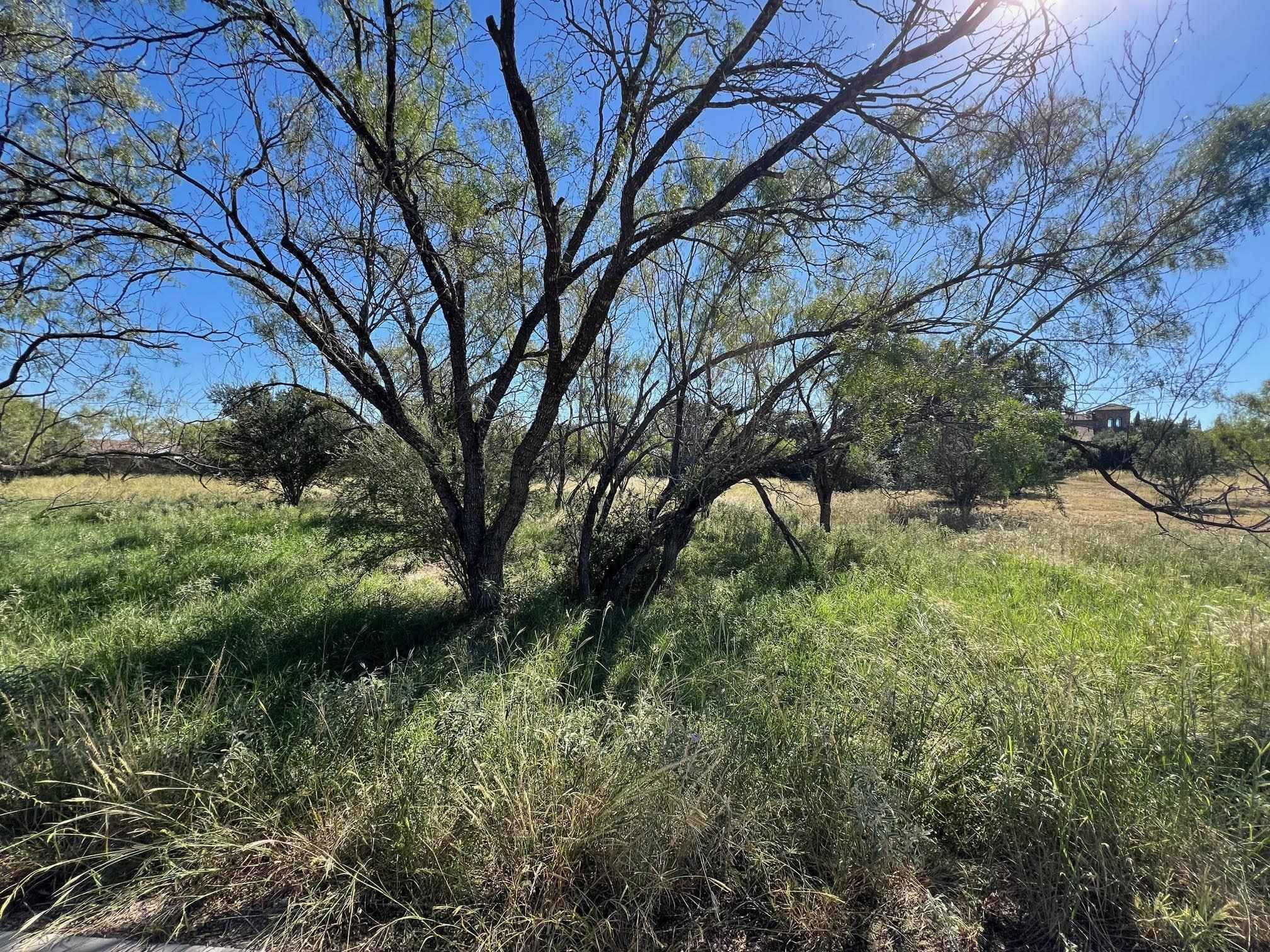 Horseshoe Bay, TX 78657-0000,W22073-A Sun Ray