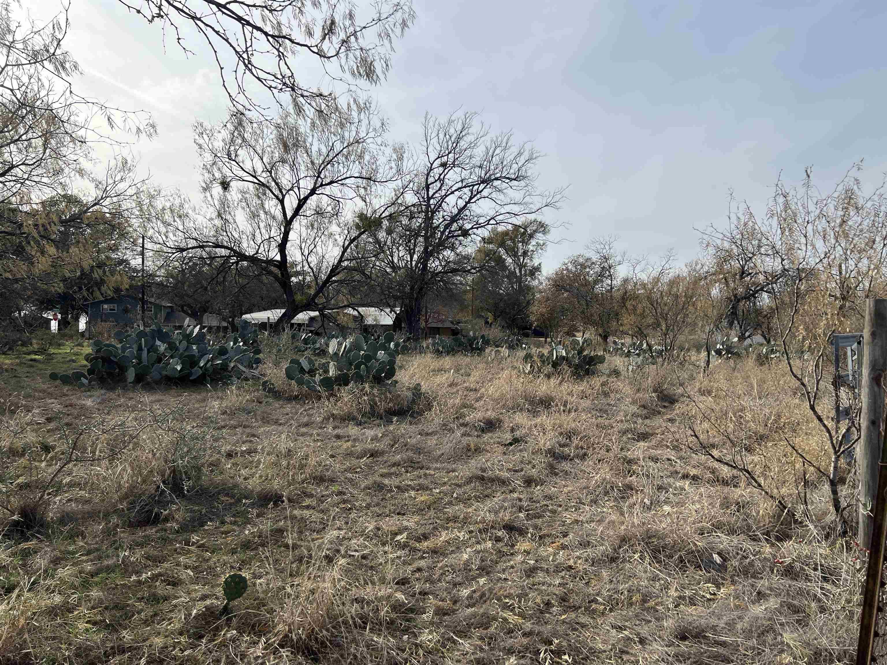 Granite Shoals, TX 78654,LTS 296-298 Driftwood DR