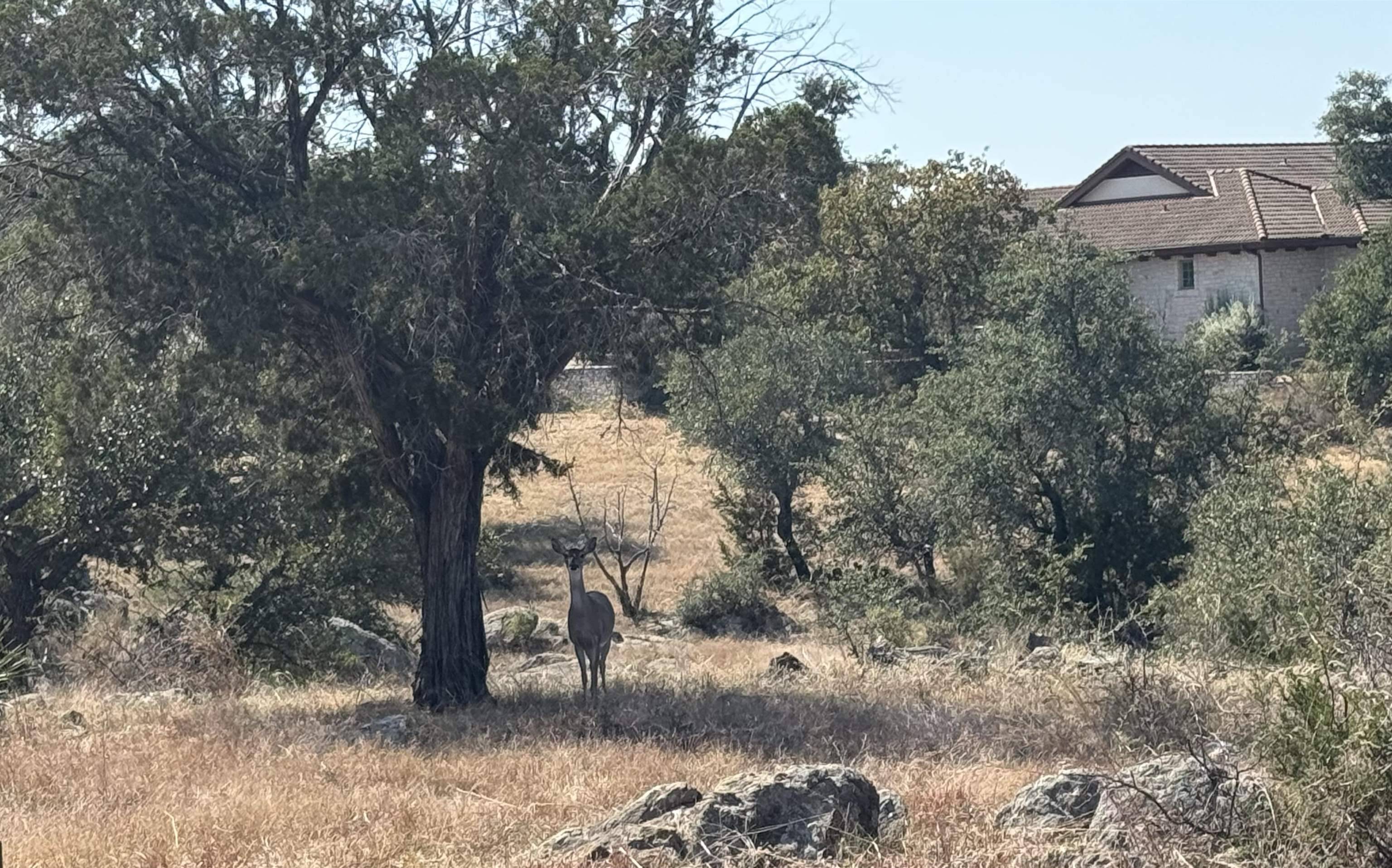 Horseshoe Bay, TX 78657,107 Cinnabar