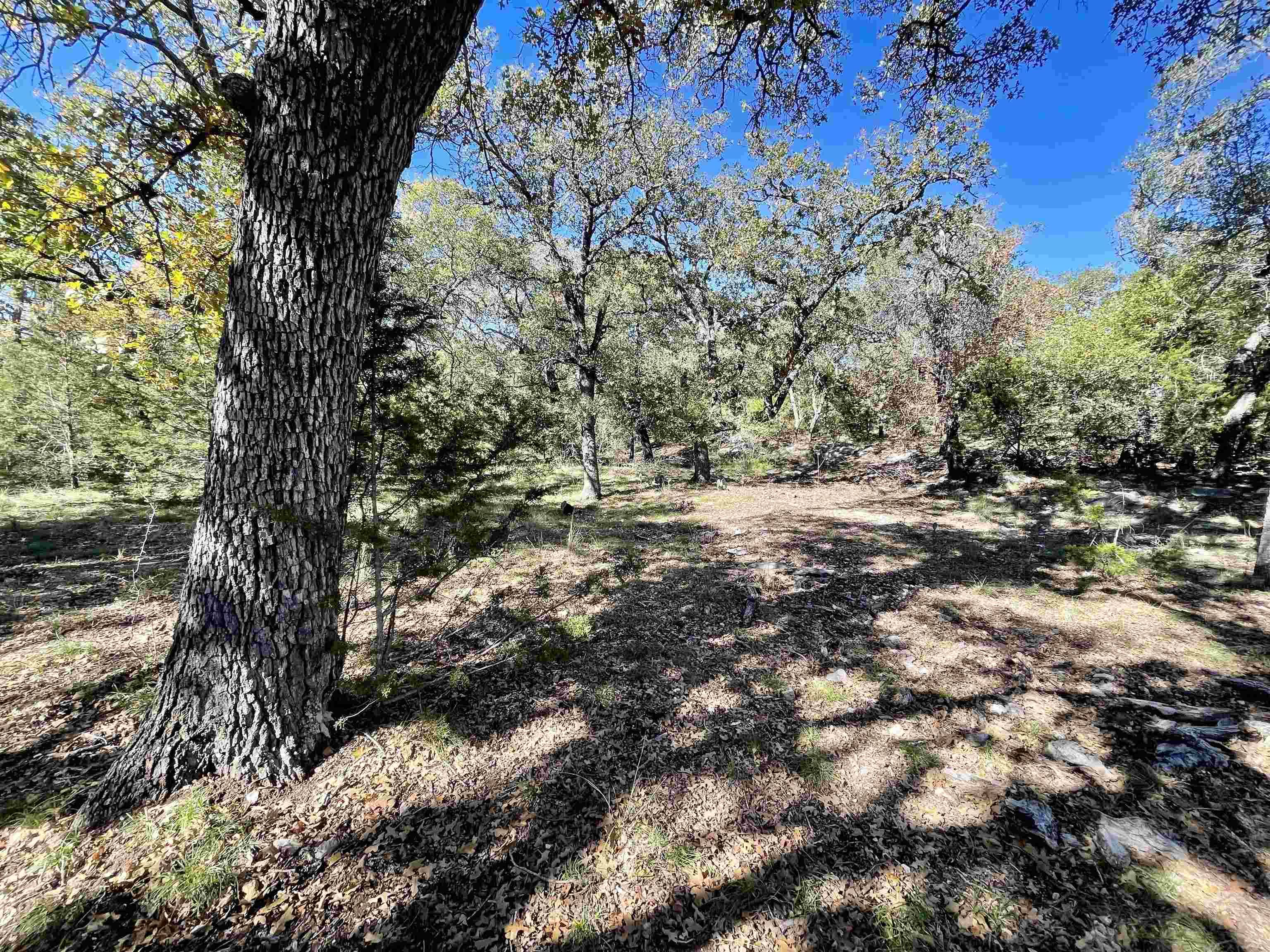 San Saba, TX 76877,Rocky Hollow Lot 83