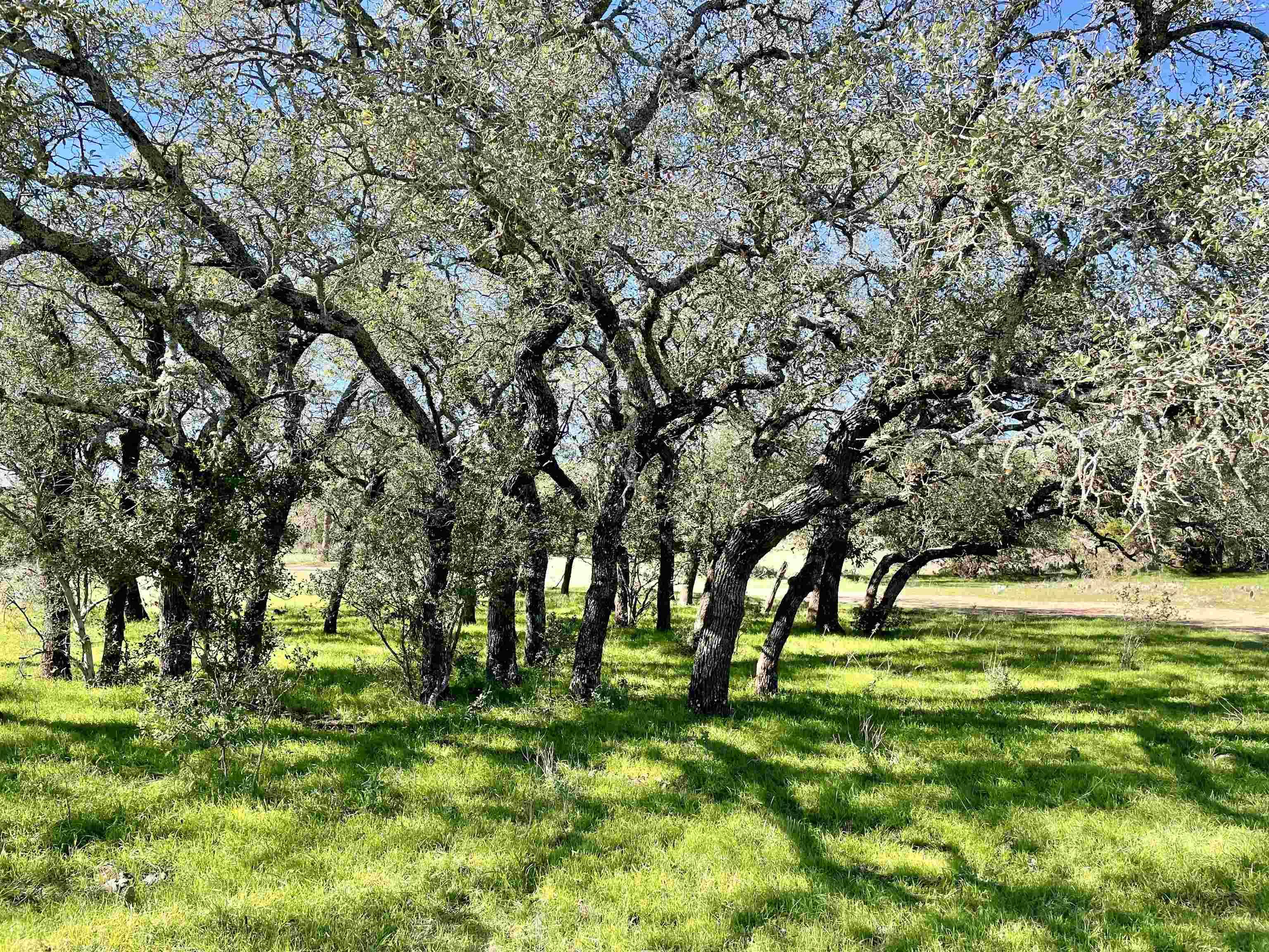 San Saba, TX 76877,Rocky Hollow Lot 83