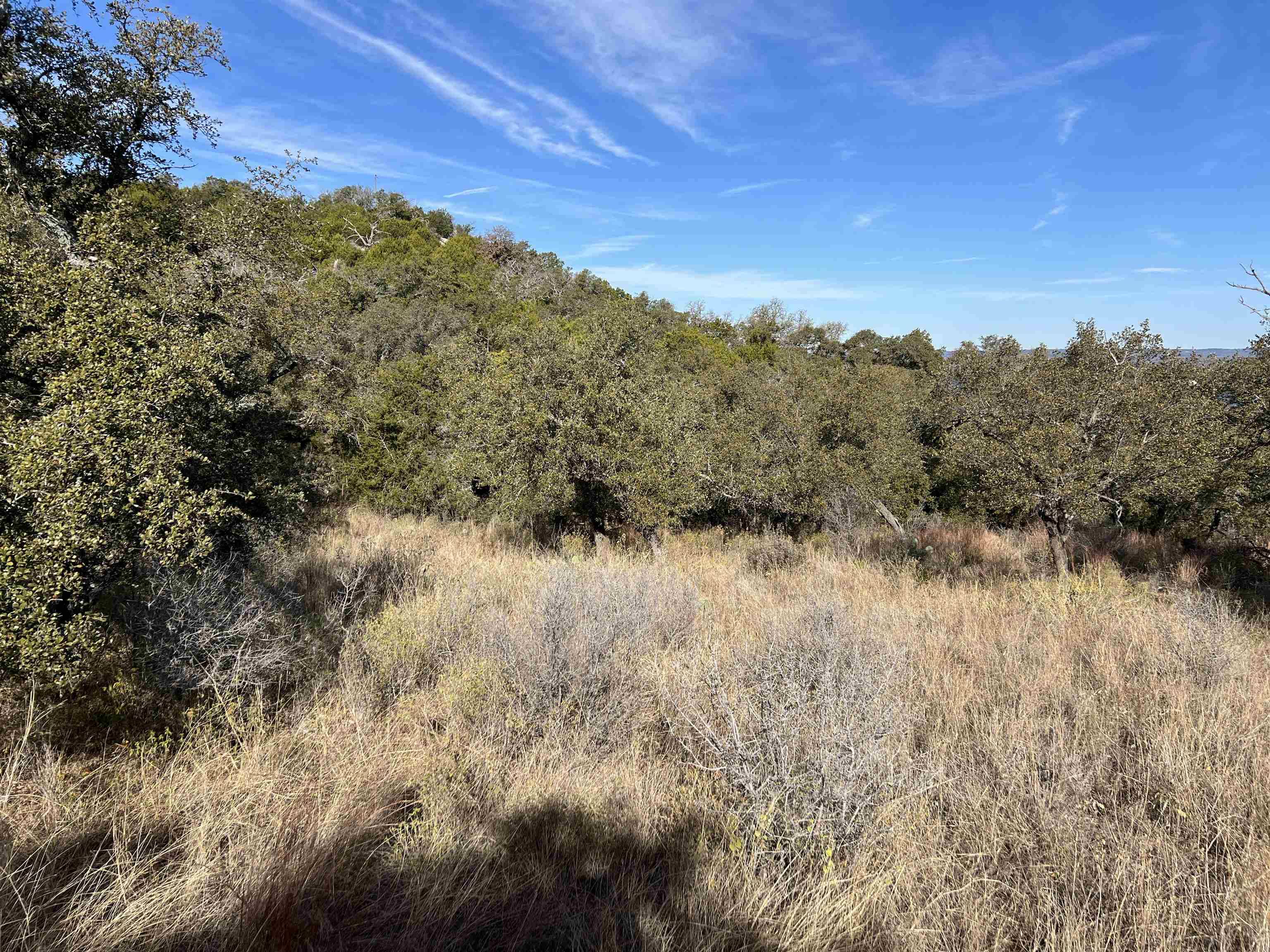 Cottonwood Shores, TX 78657,Lot 13 Prince Peak